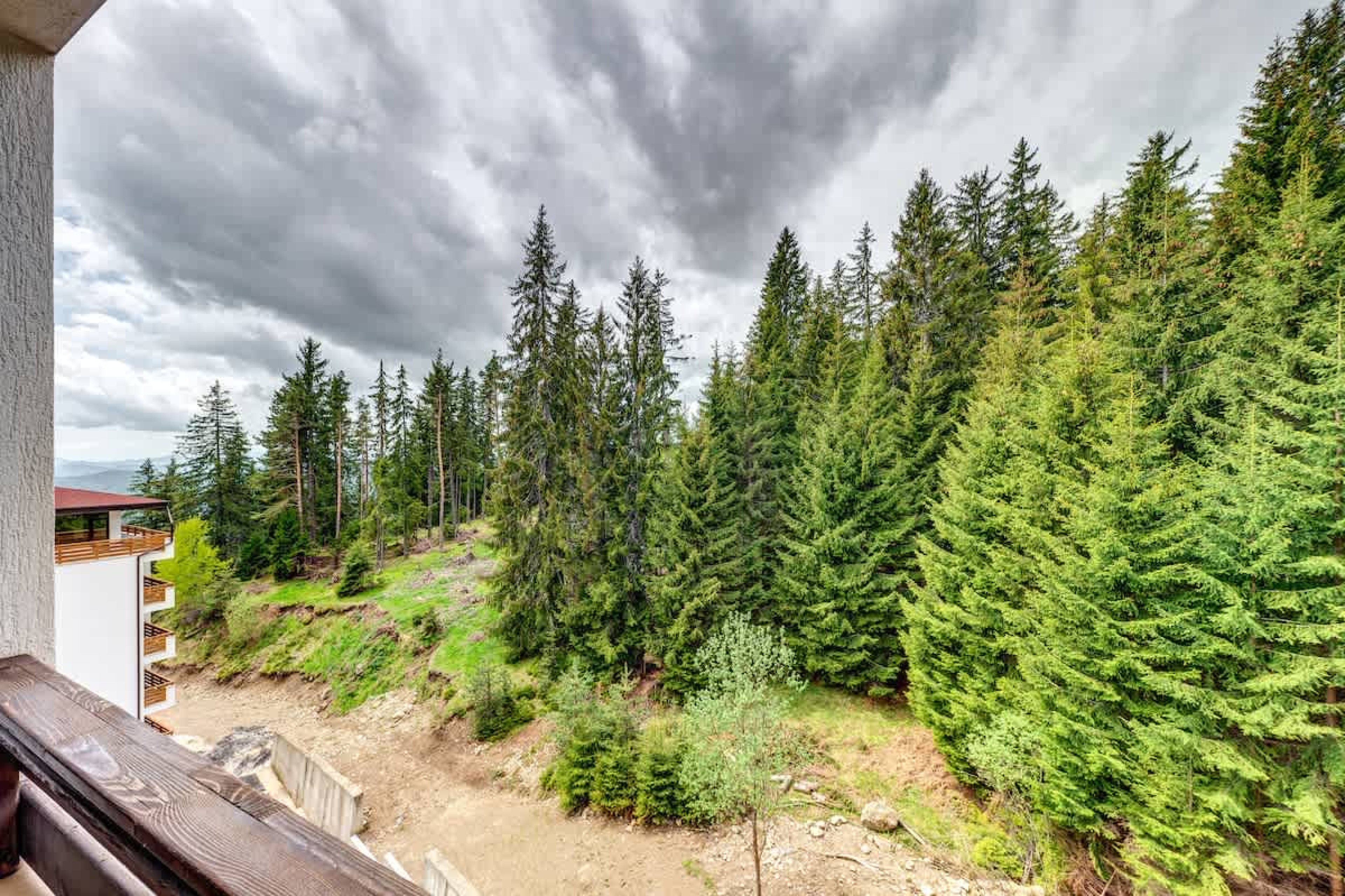 Scoutaround White Logo