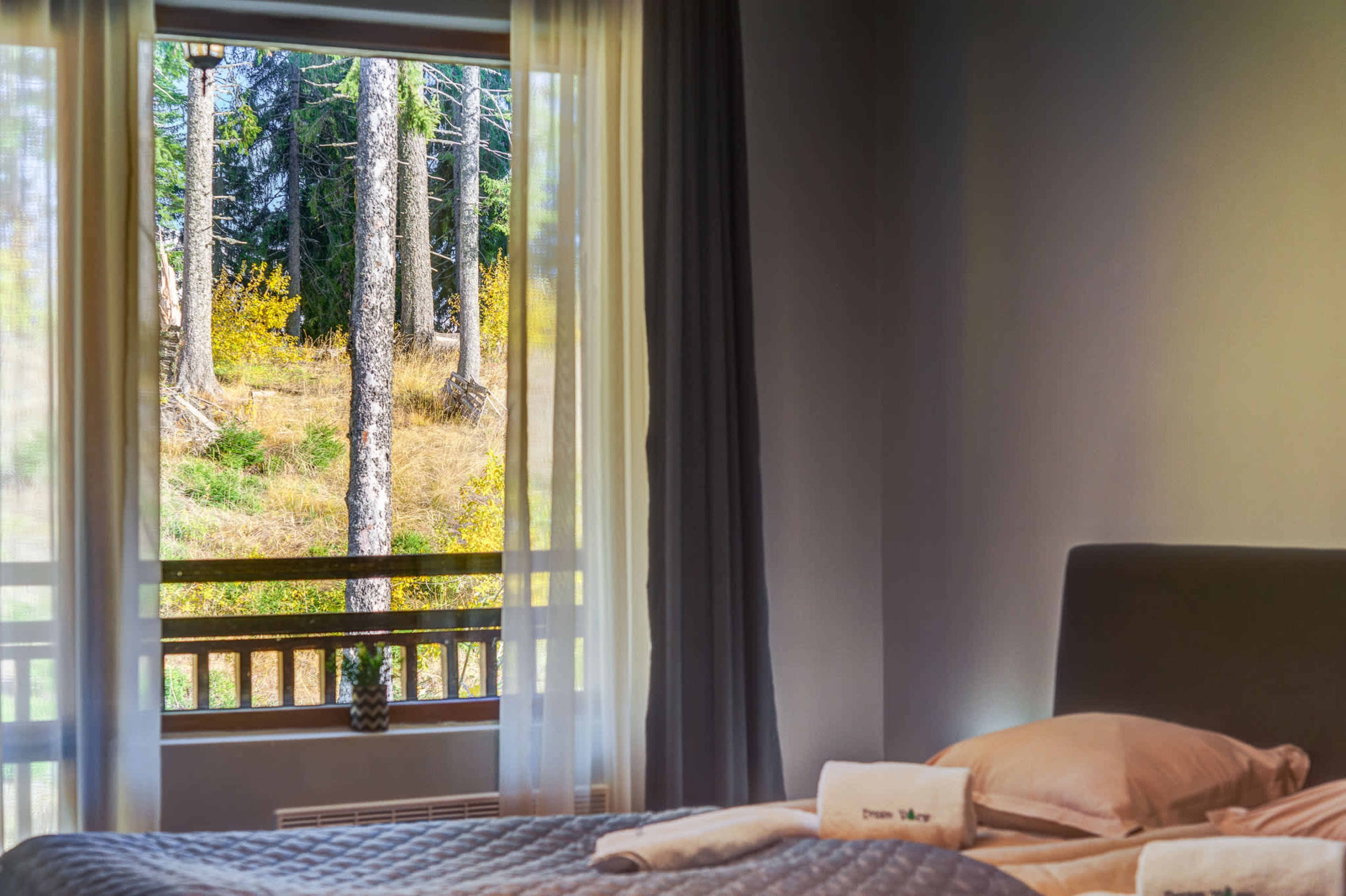 Scoutaround White Logo