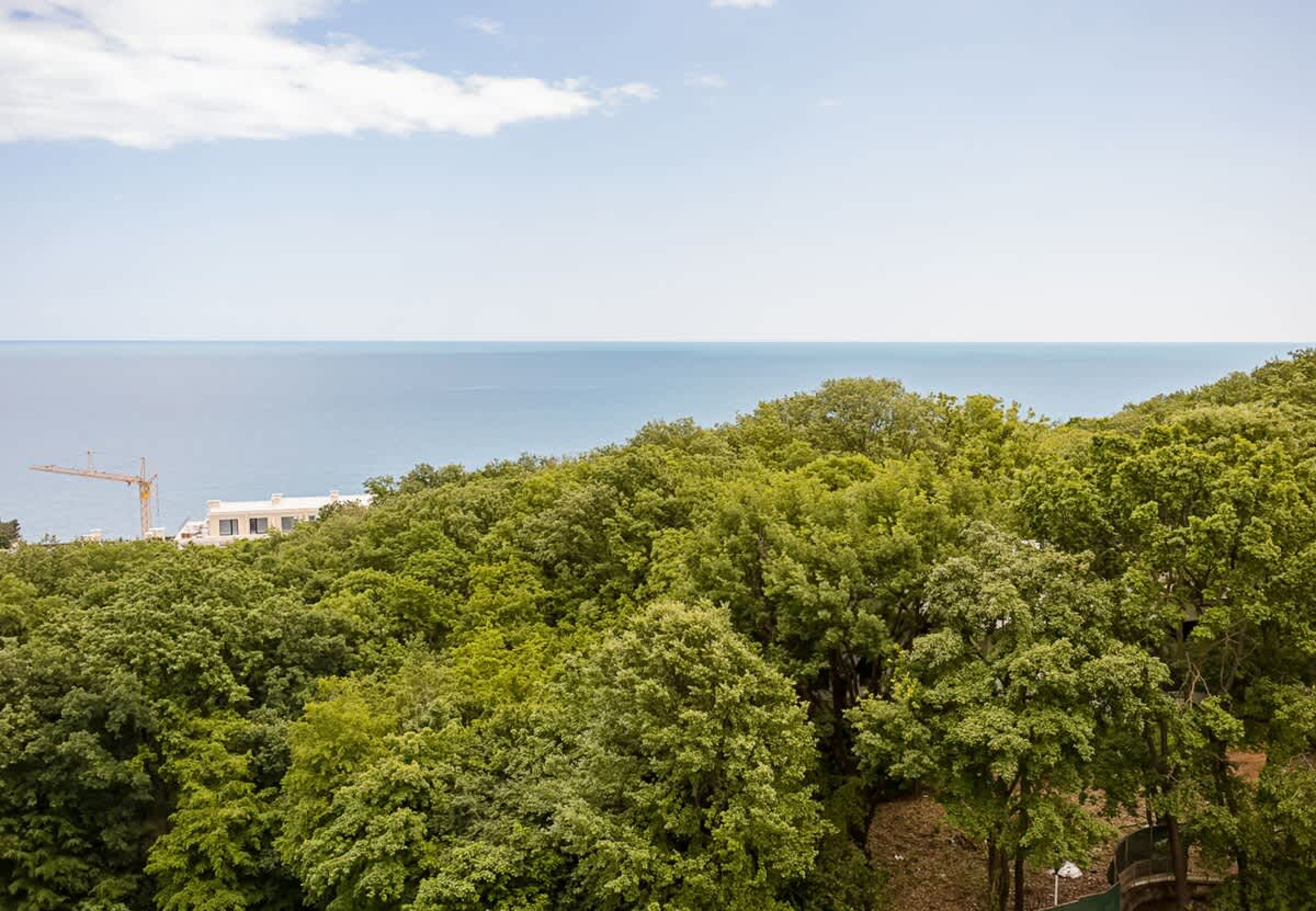 Scoutaround White Logo