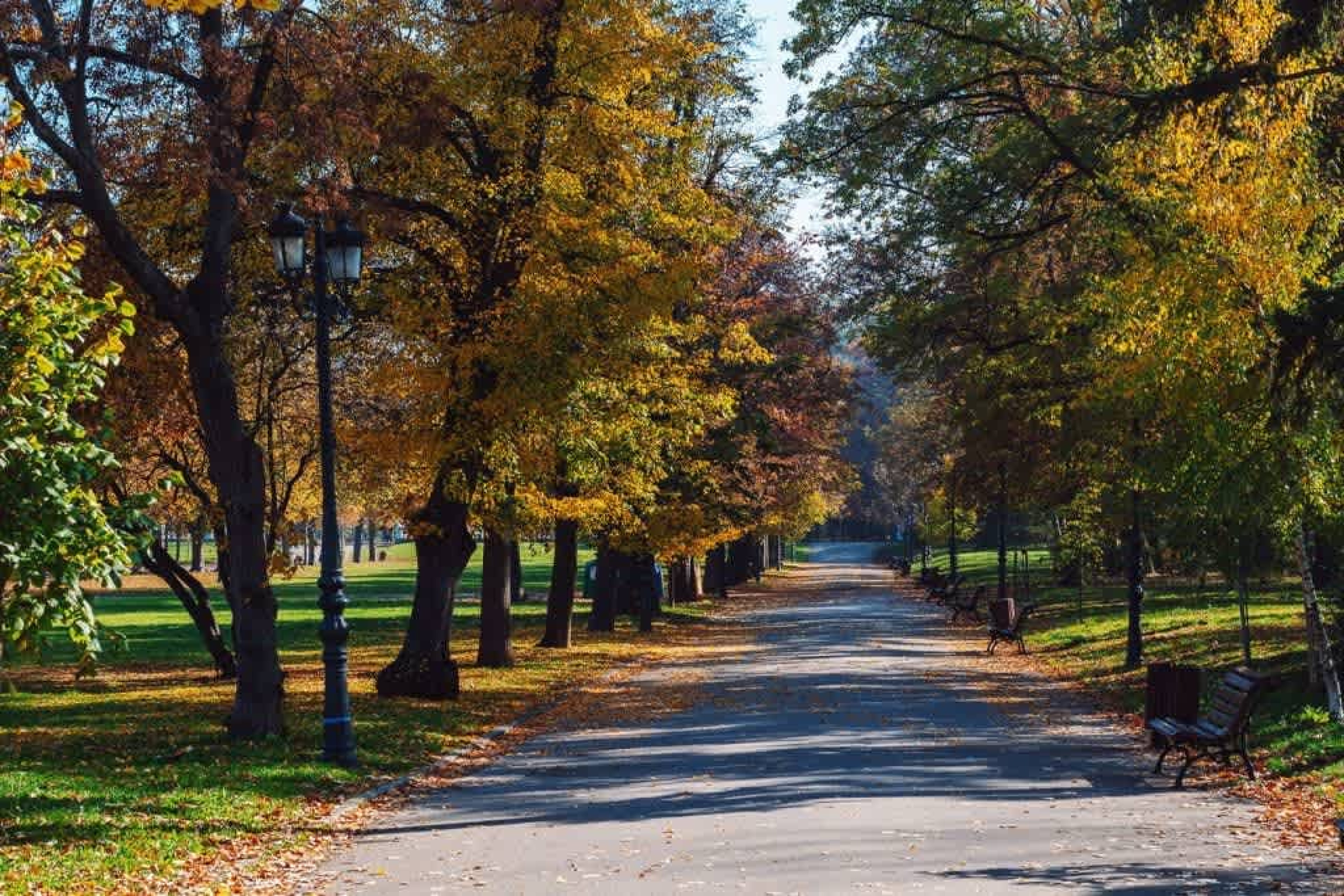 Sofia’s Best Area - Workspace+300 MBPS WiFi - Photo 27