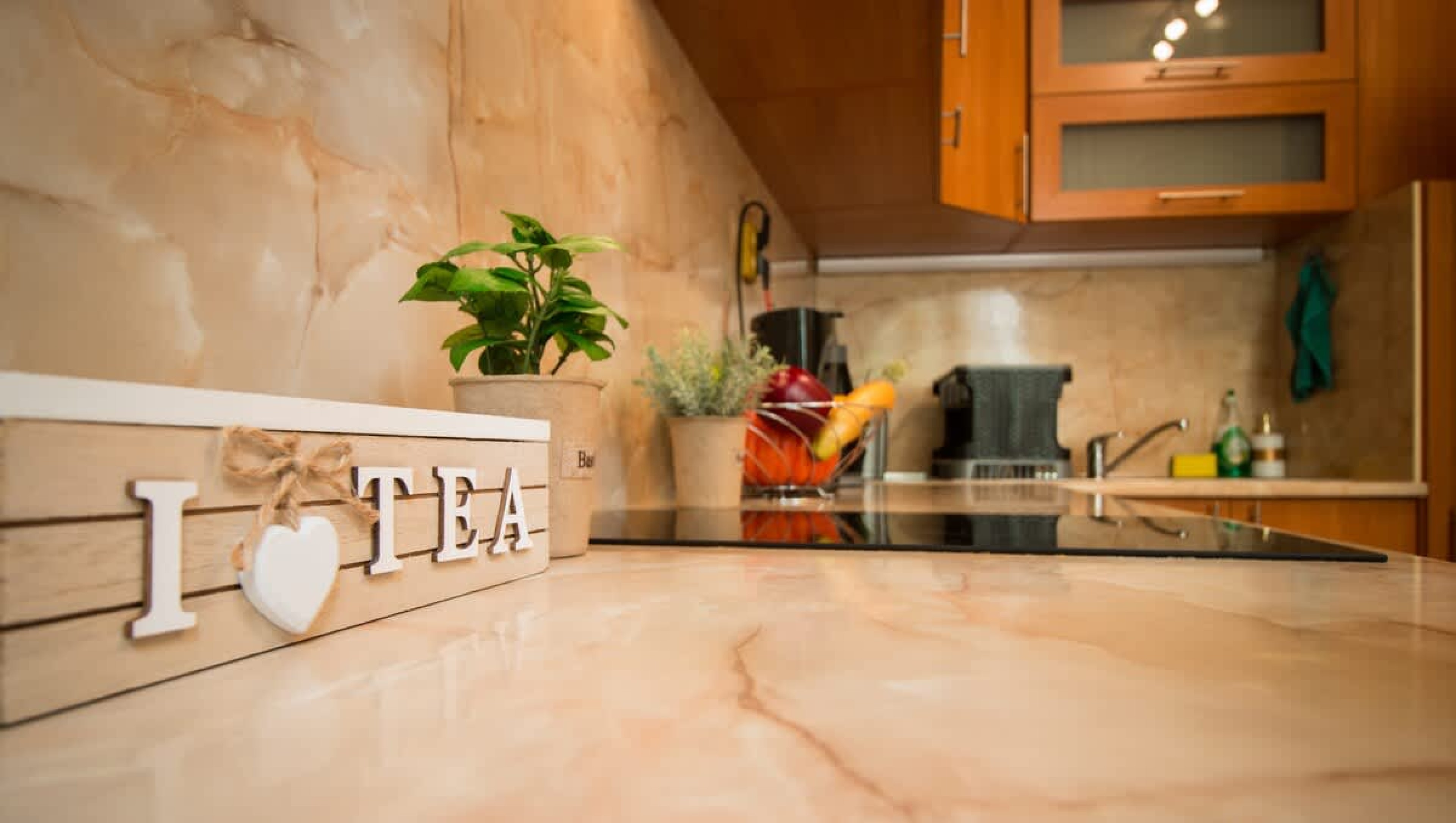 Scoutaround White Logo