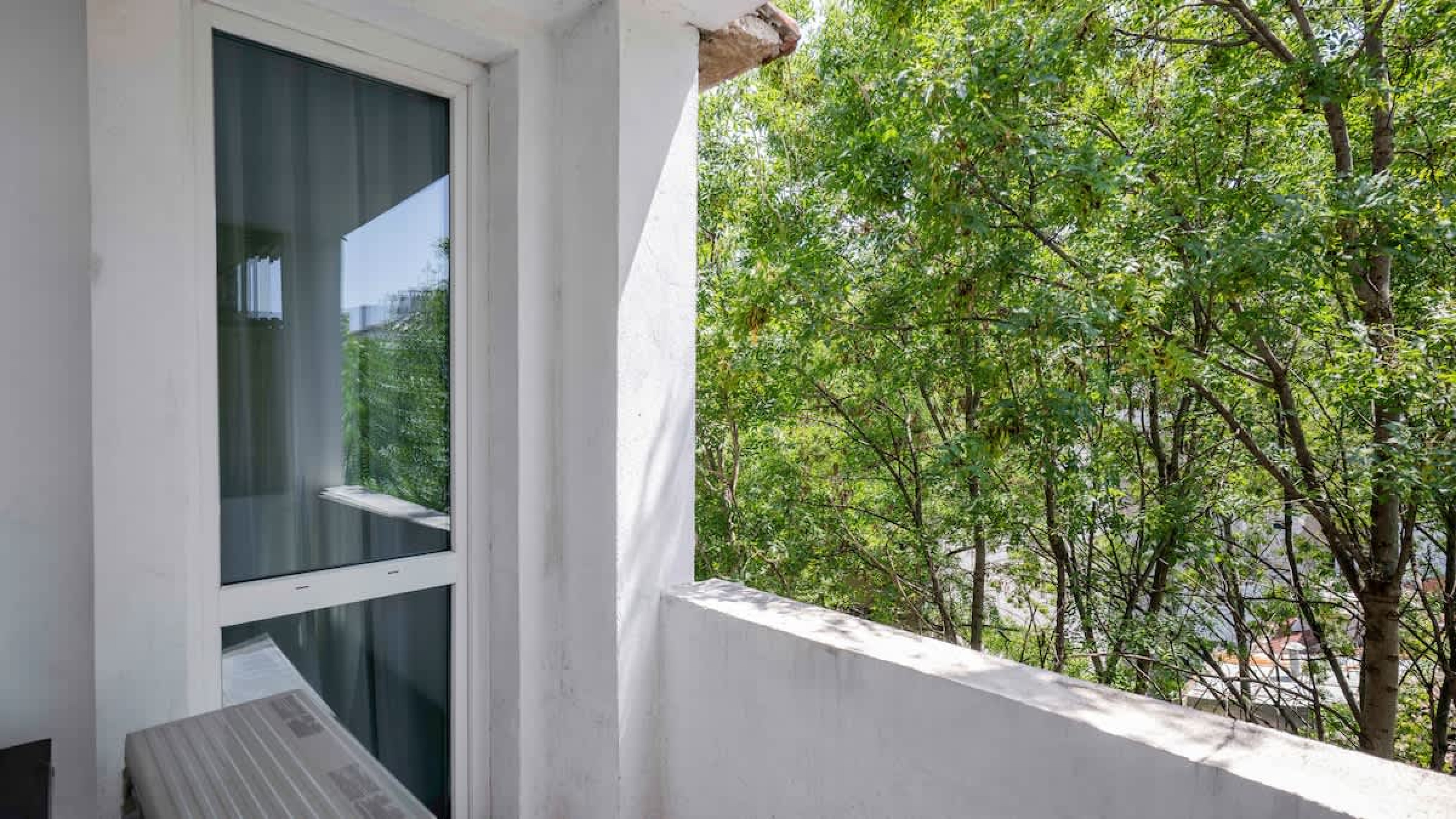 Scoutaround White Logo