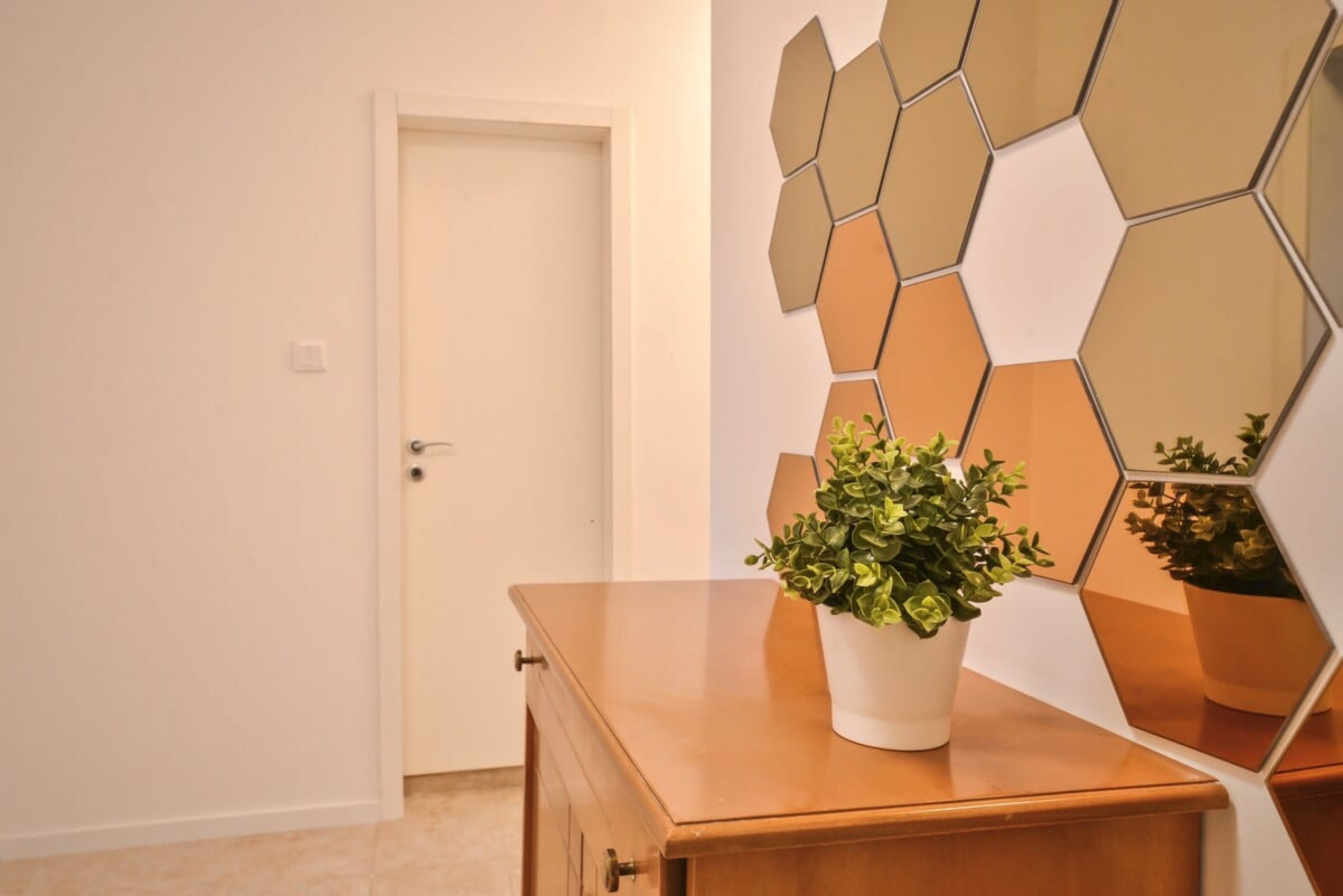 Scoutaround White Logo