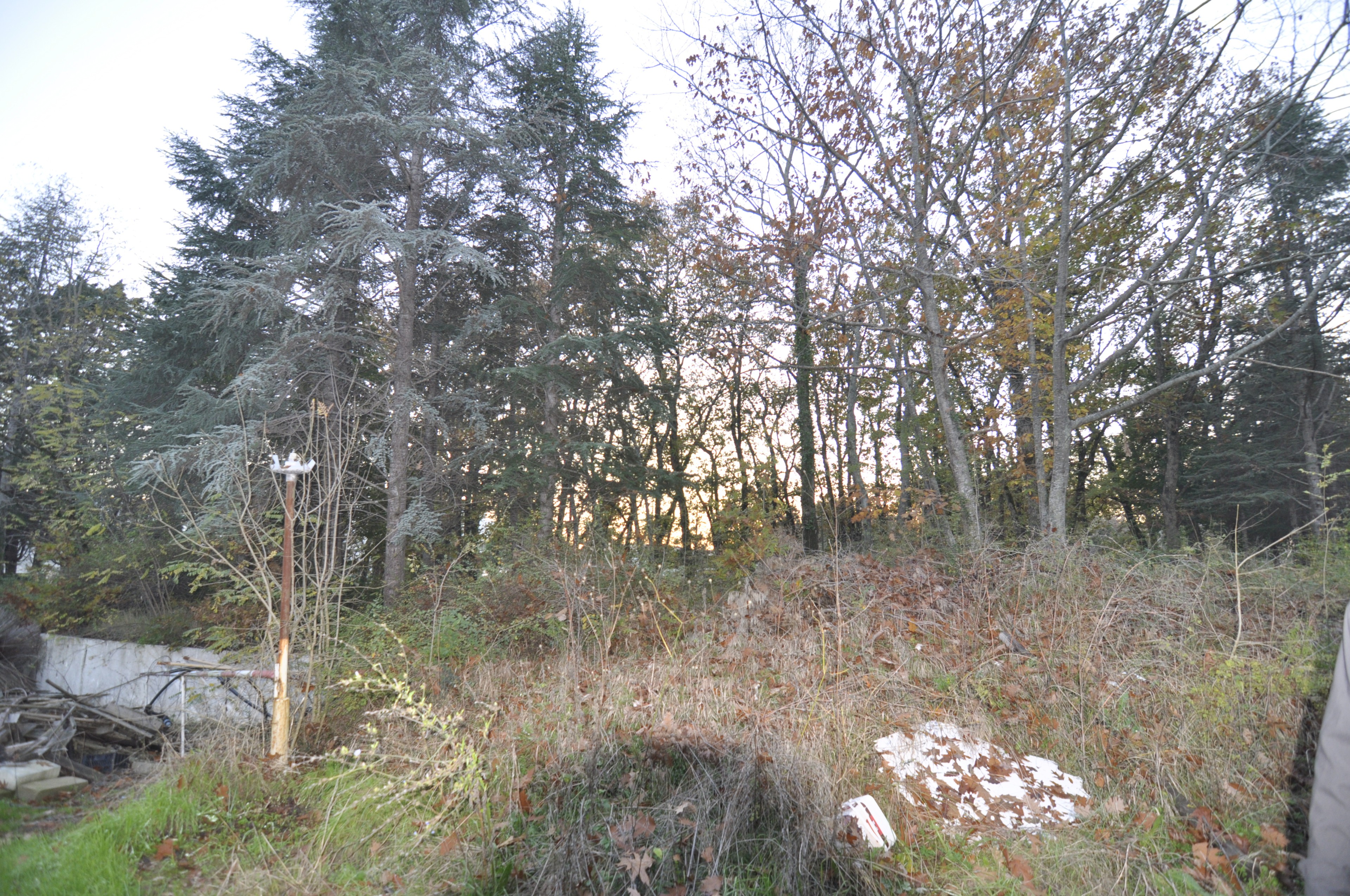 Scoutaround White Logo