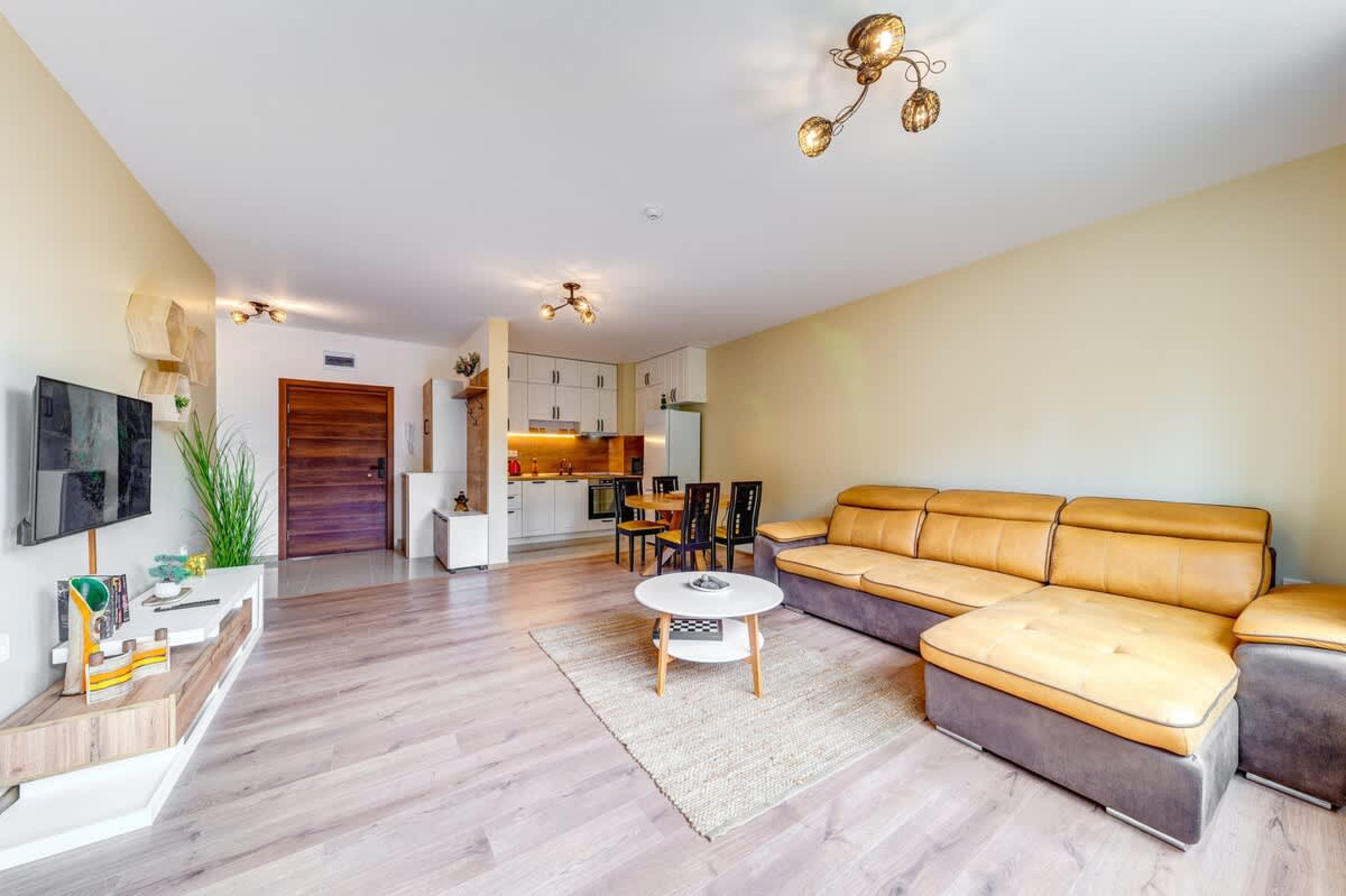 Scoutaround White Logo