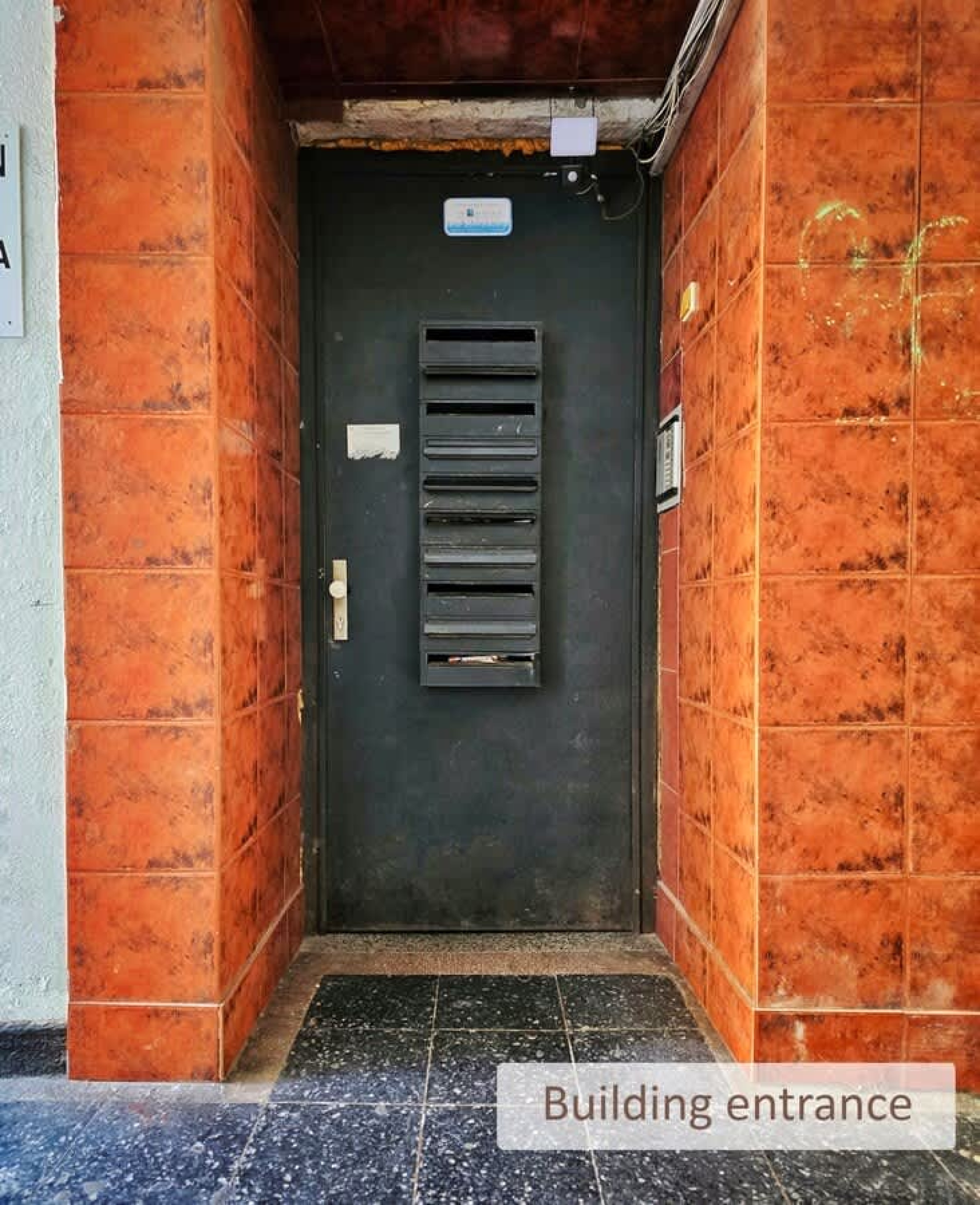 Scoutaround White Logo