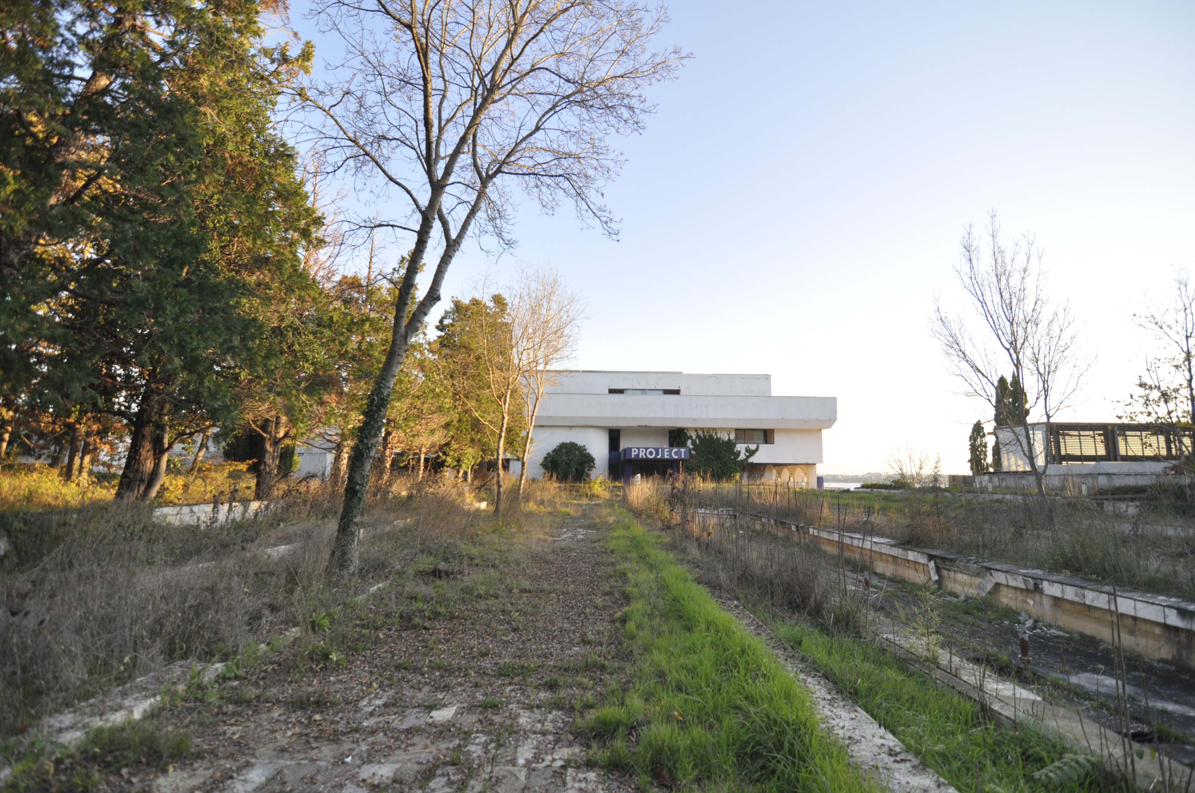 Scoutaround White Logo