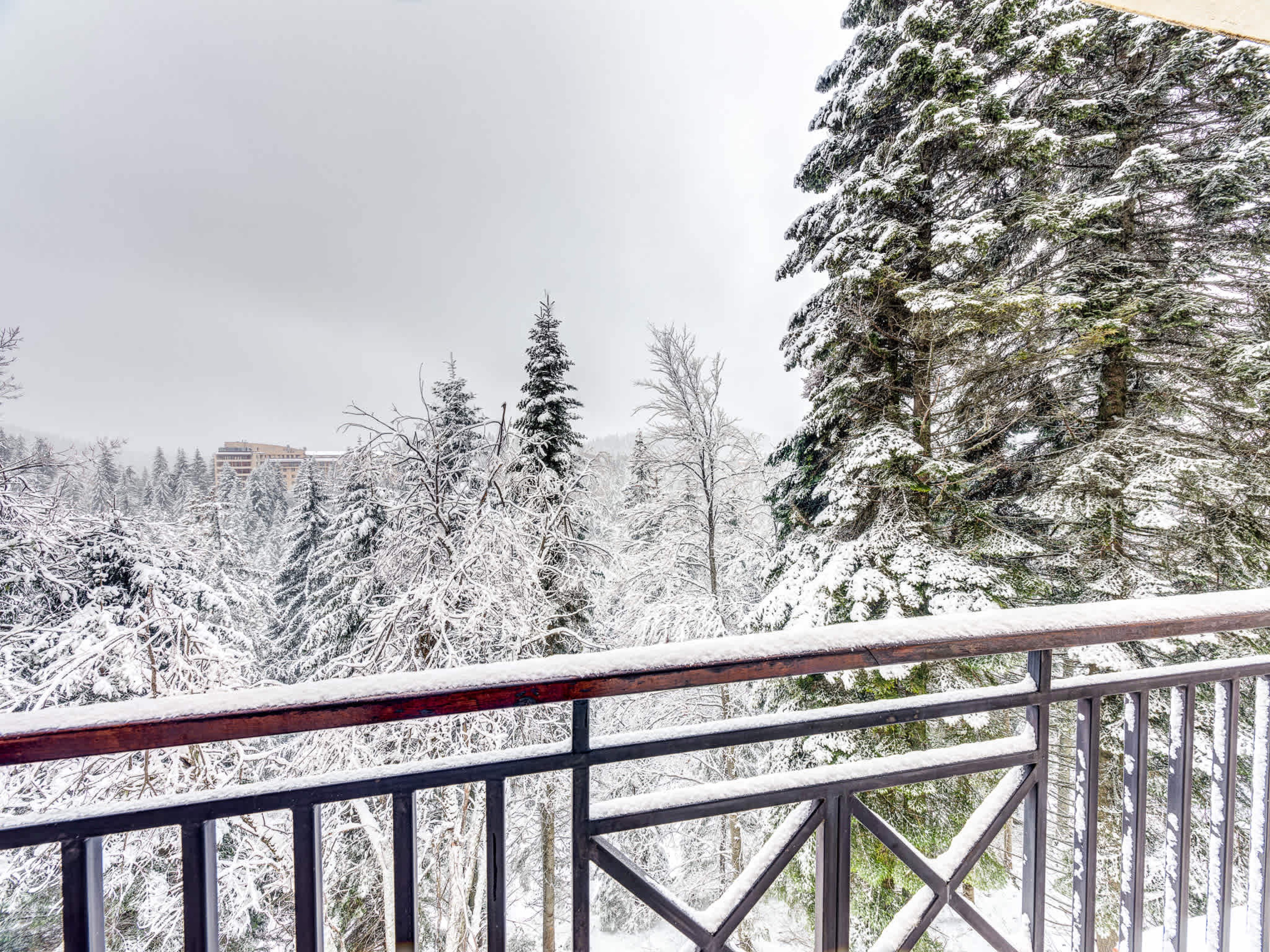 1BD Mountain Getaway in Pamporovo with Parking - Photo 22