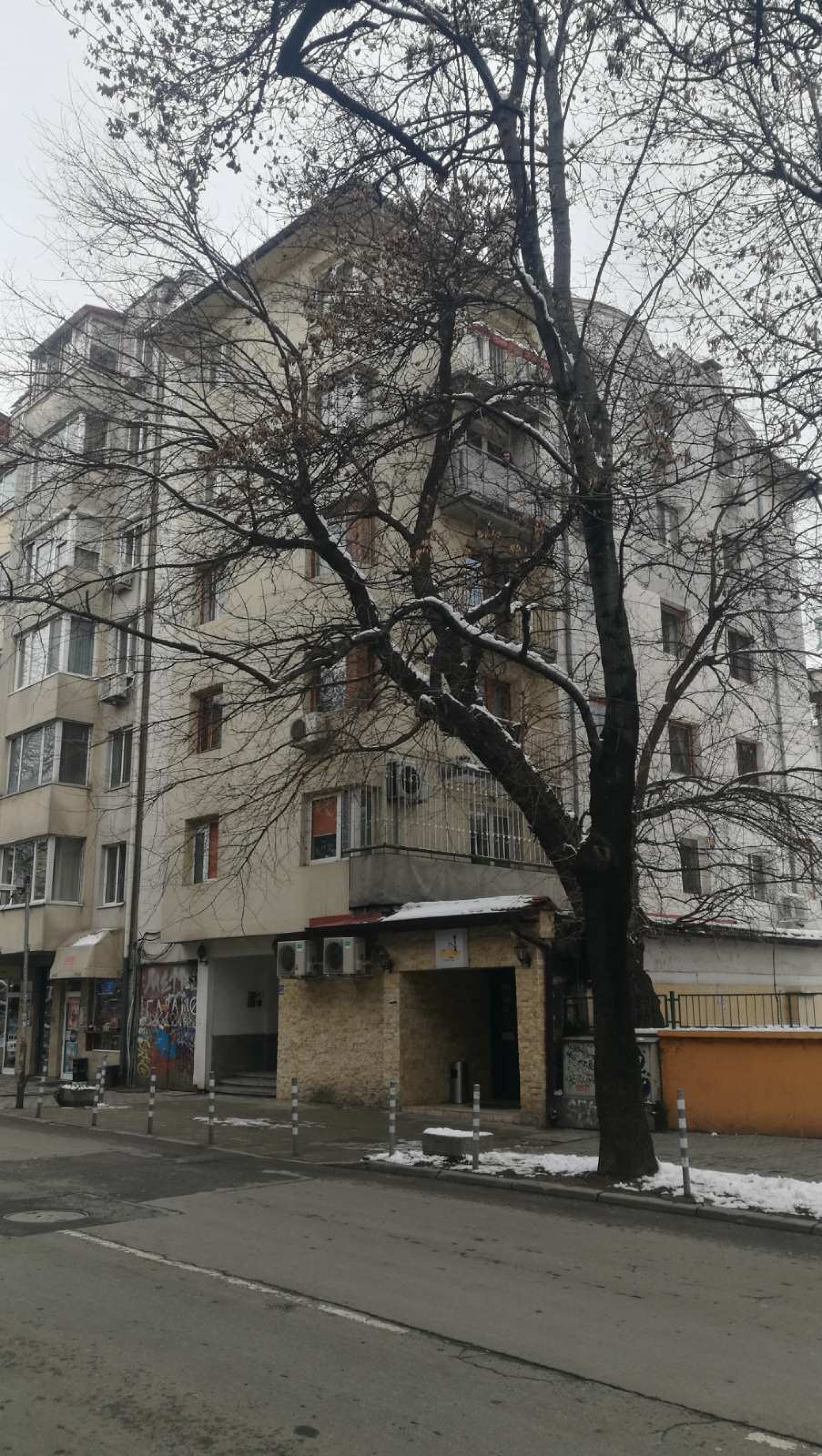 Scoutaround White Logo