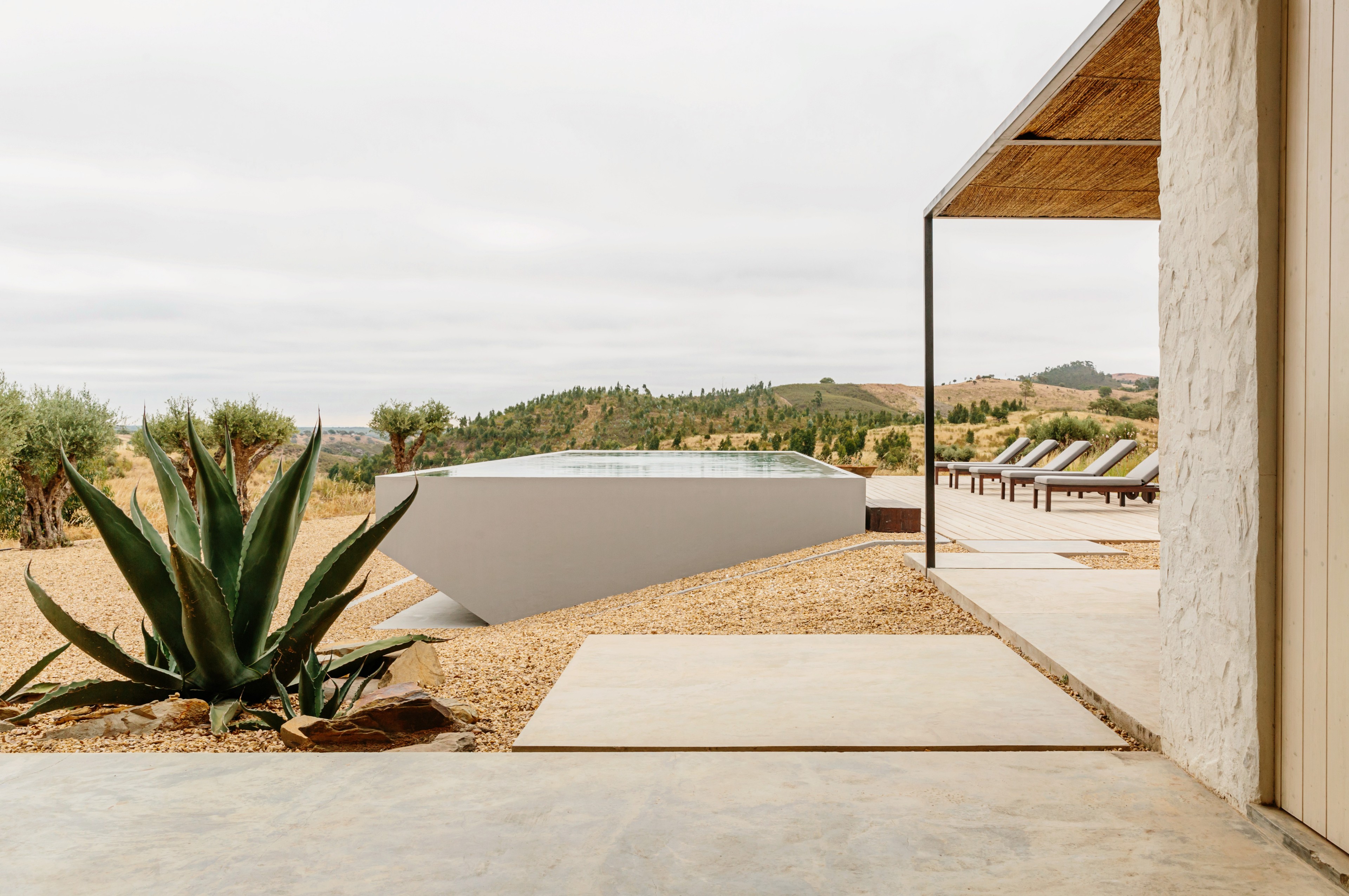 Scoutaround White Logo