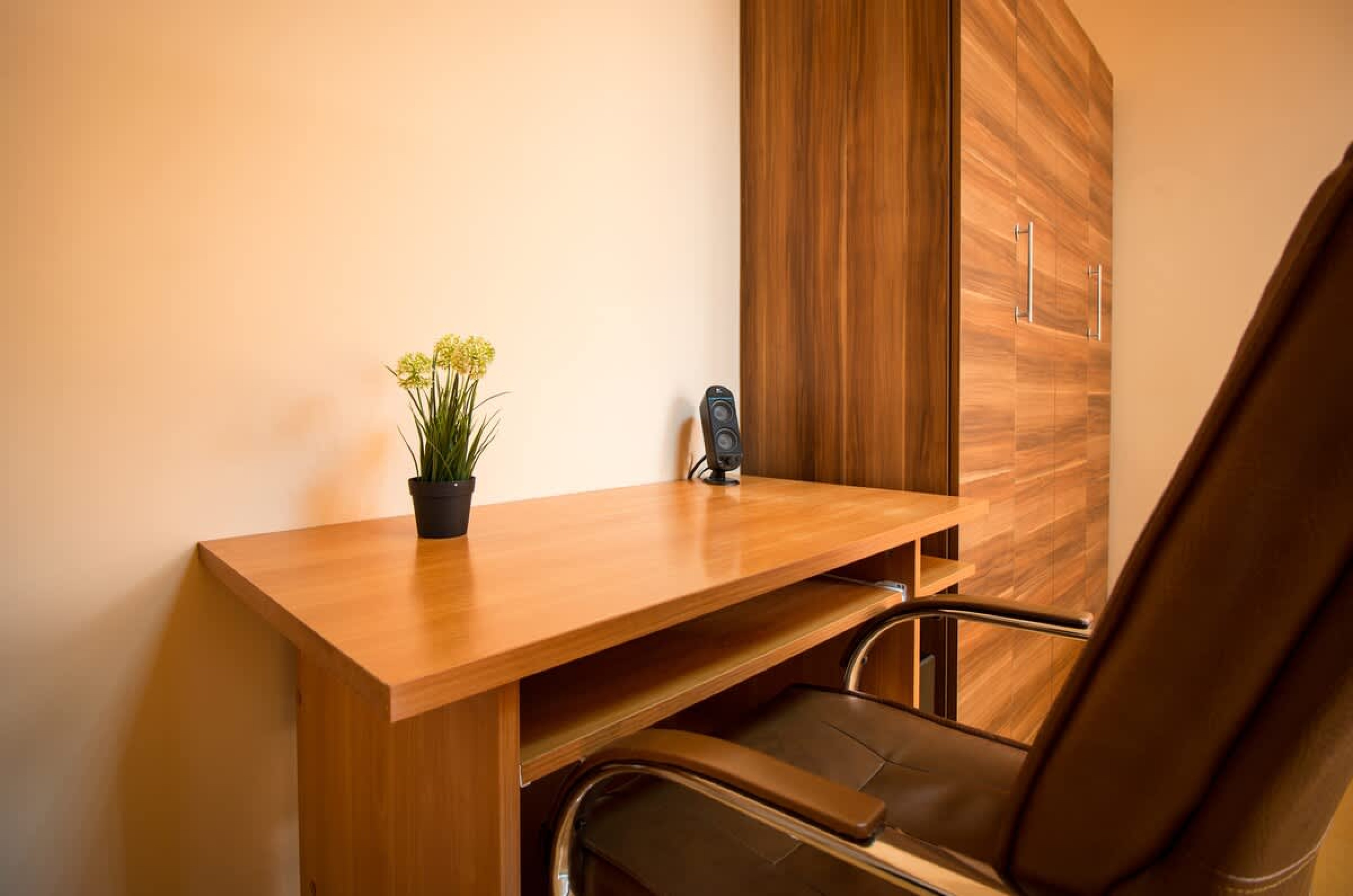 Scoutaround White Logo