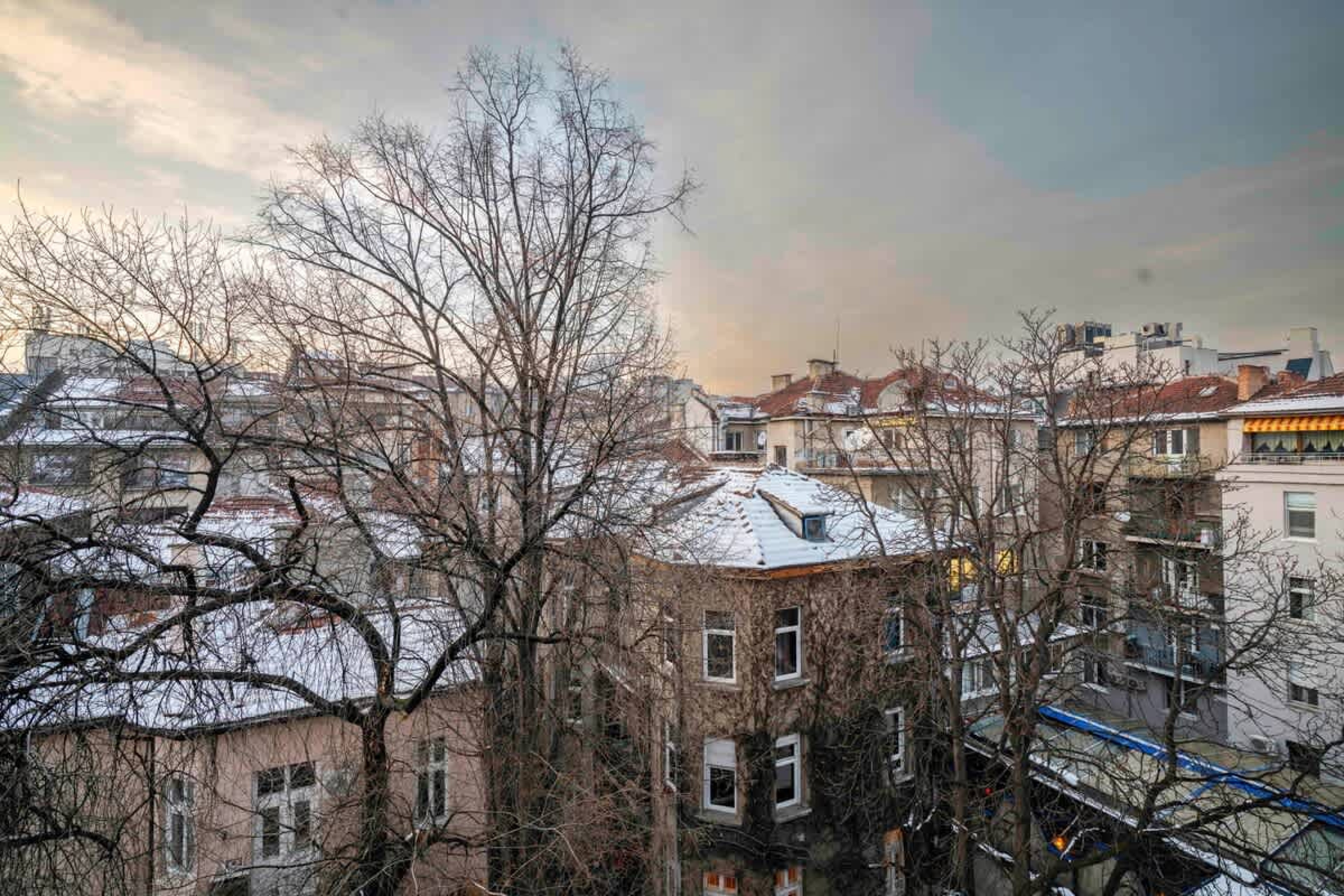 Scoutaround White Logo