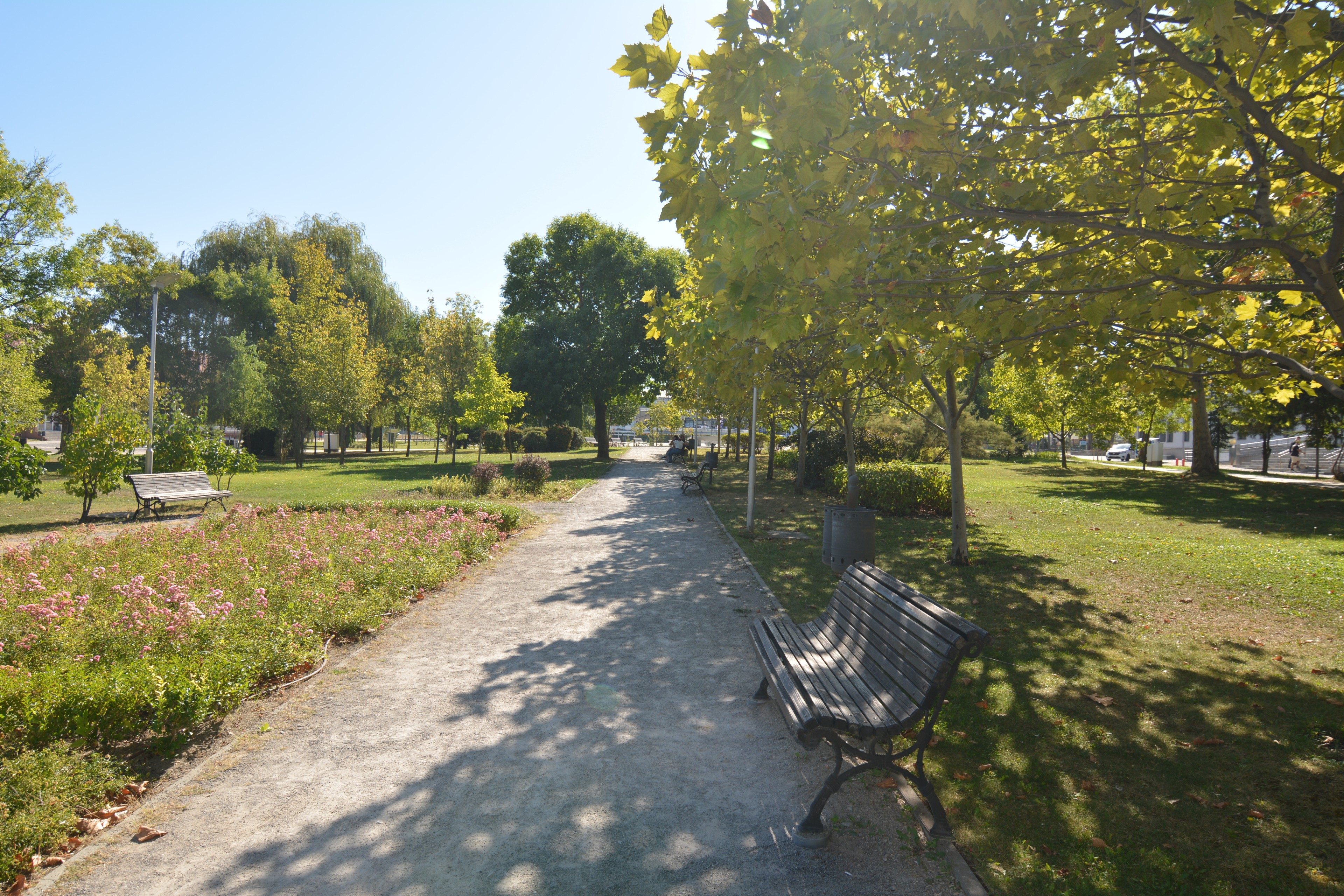 Scoutaround White Logo