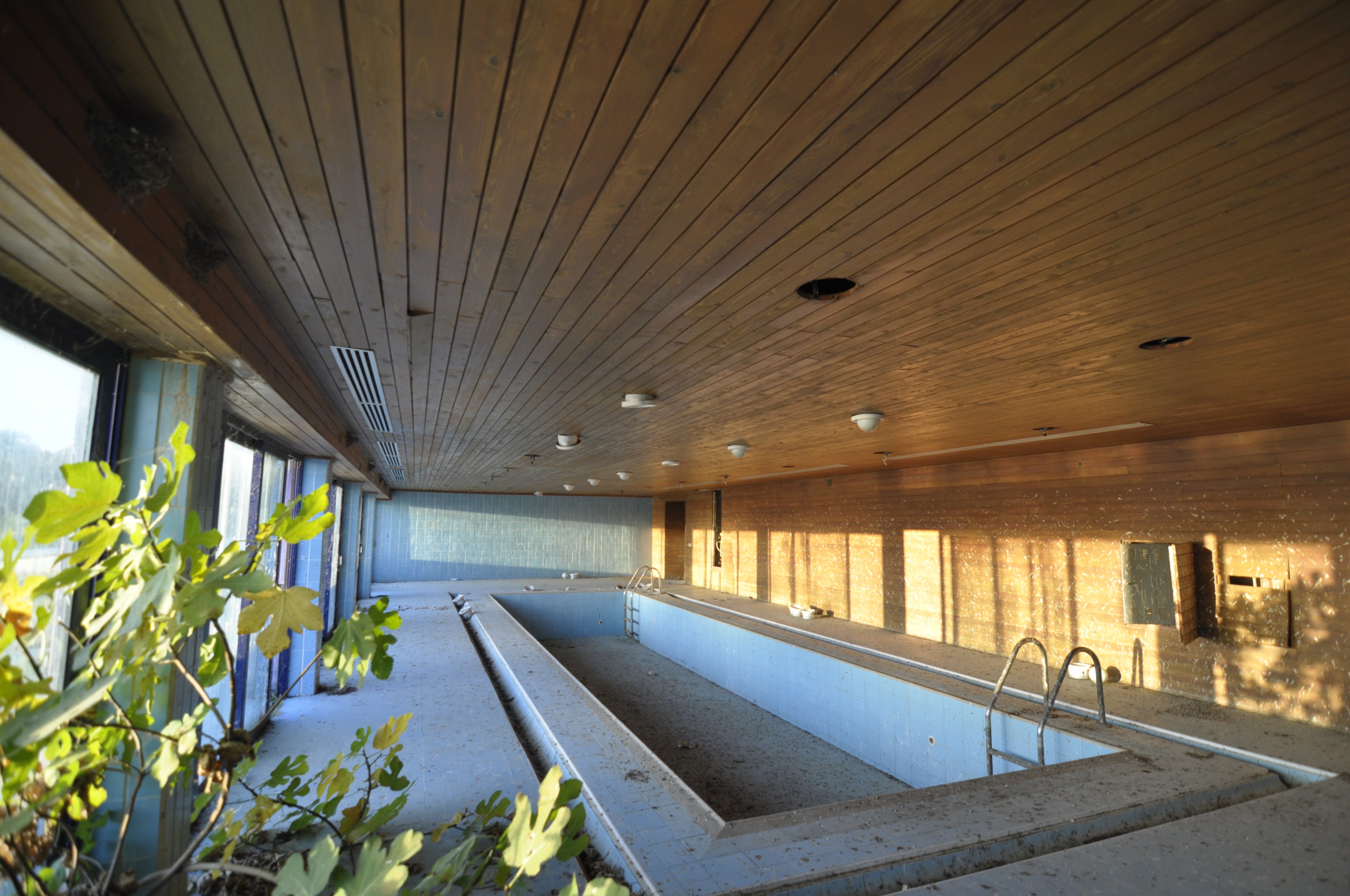 Scoutaround White Logo