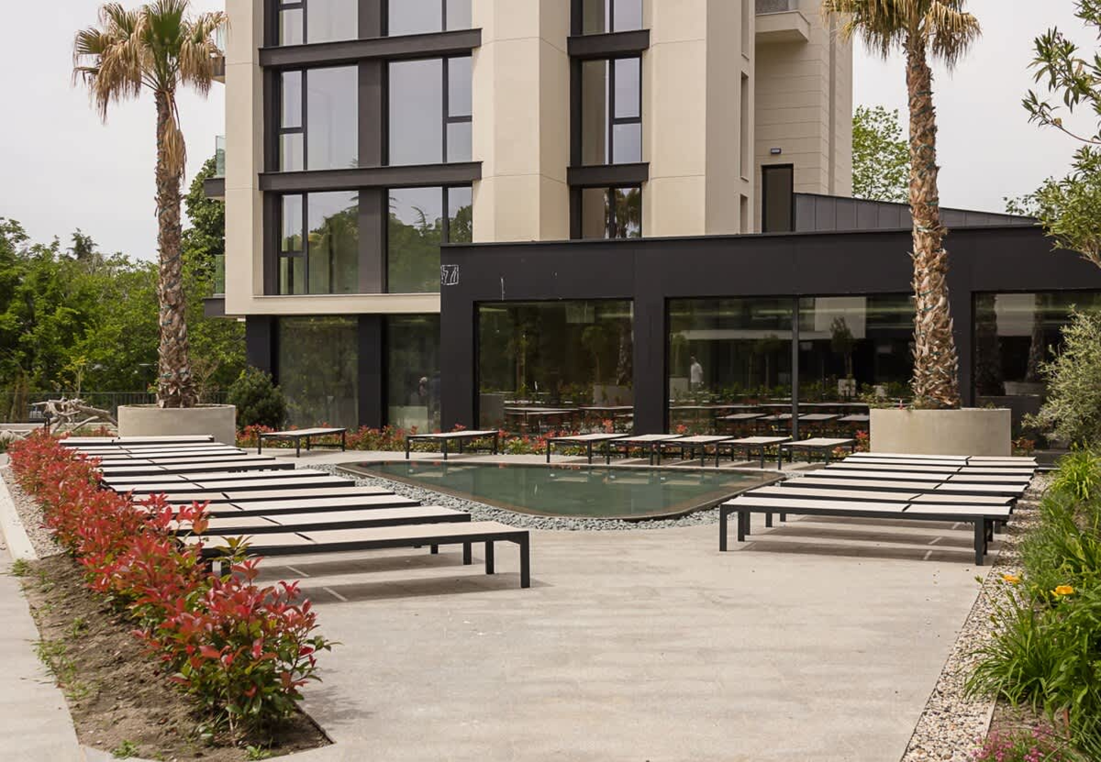 Scoutaround White Logo