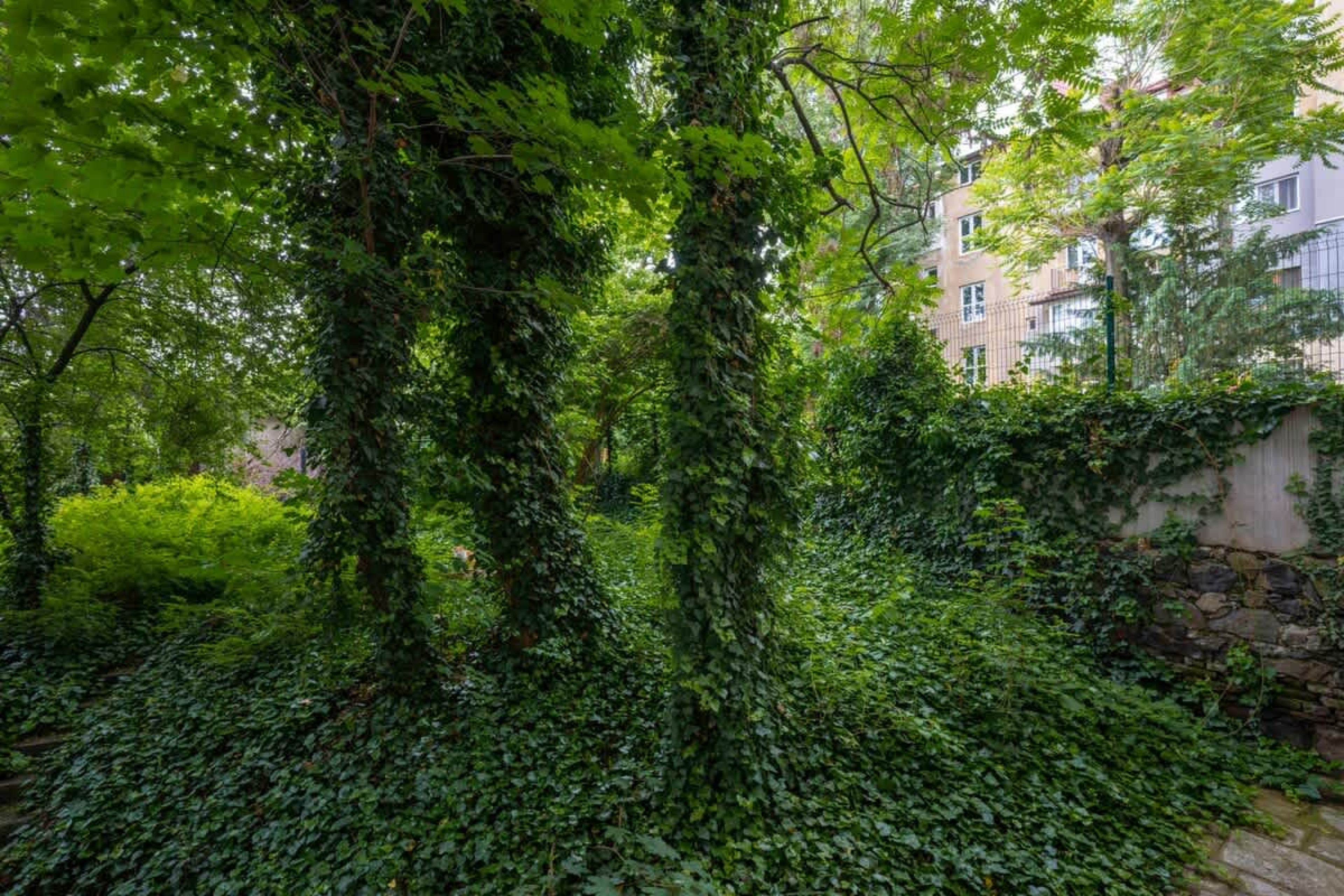 Scoutaround White Logo