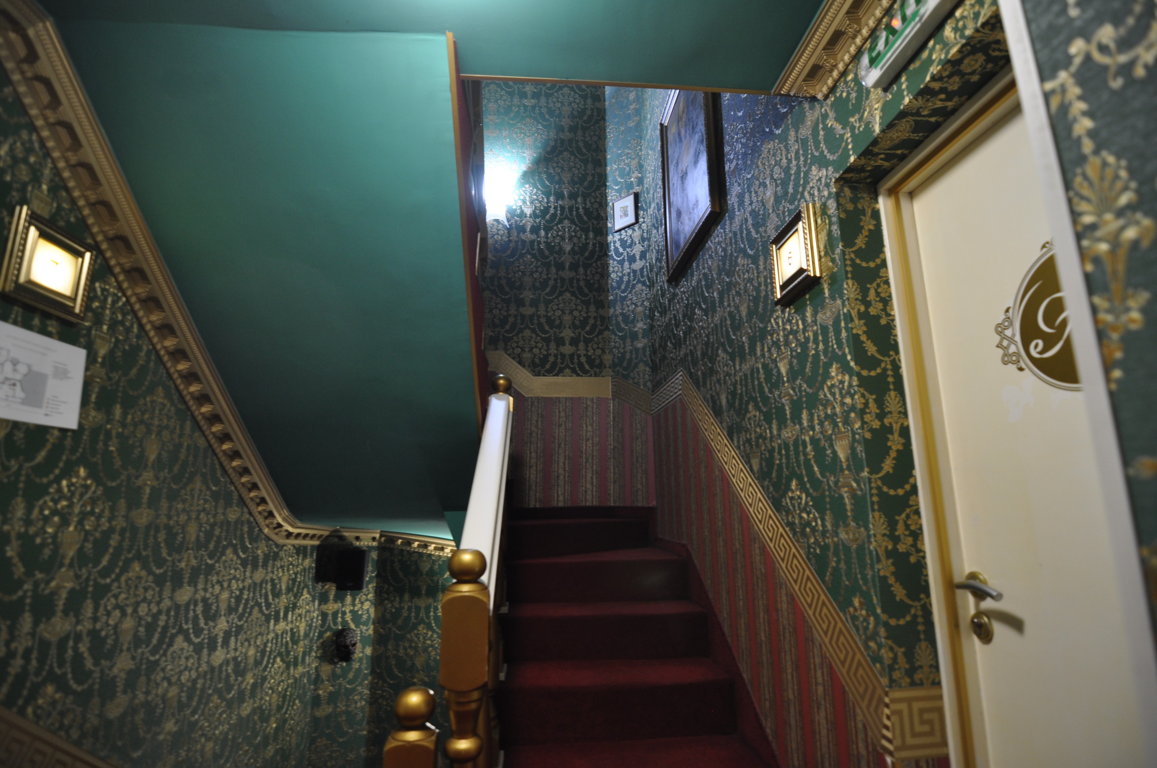 Scoutaround White Logo