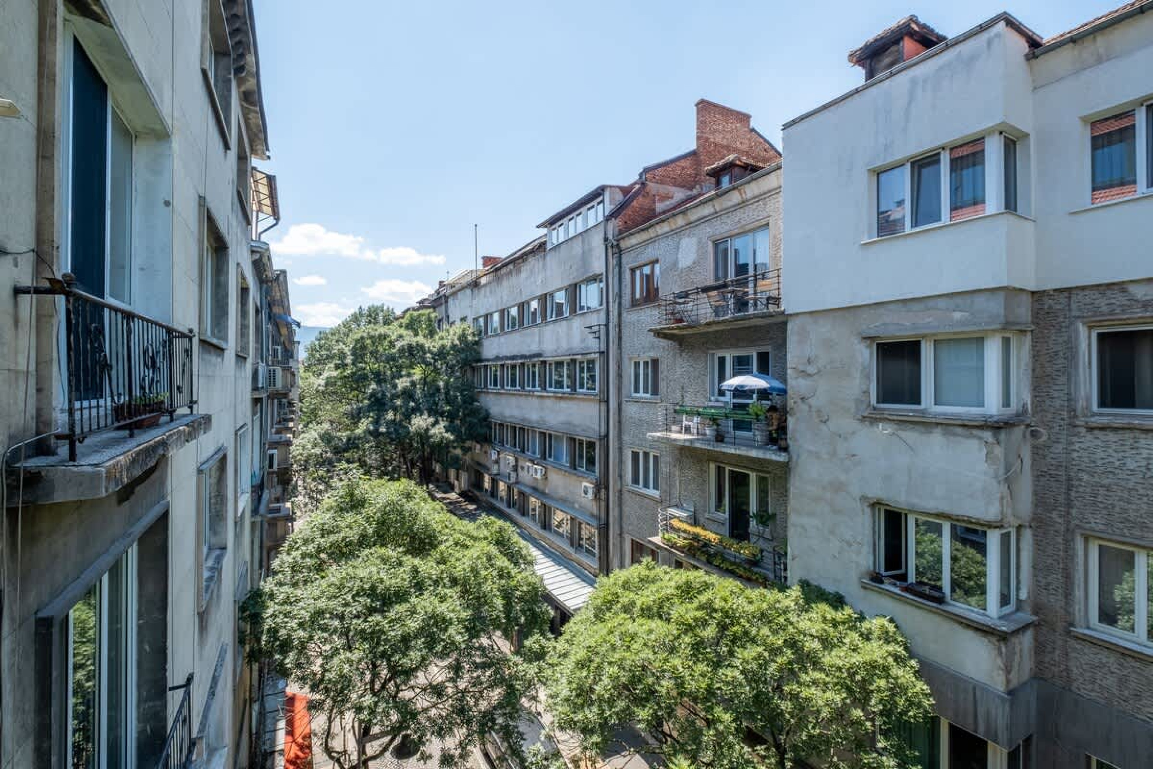 Scoutaround White Logo