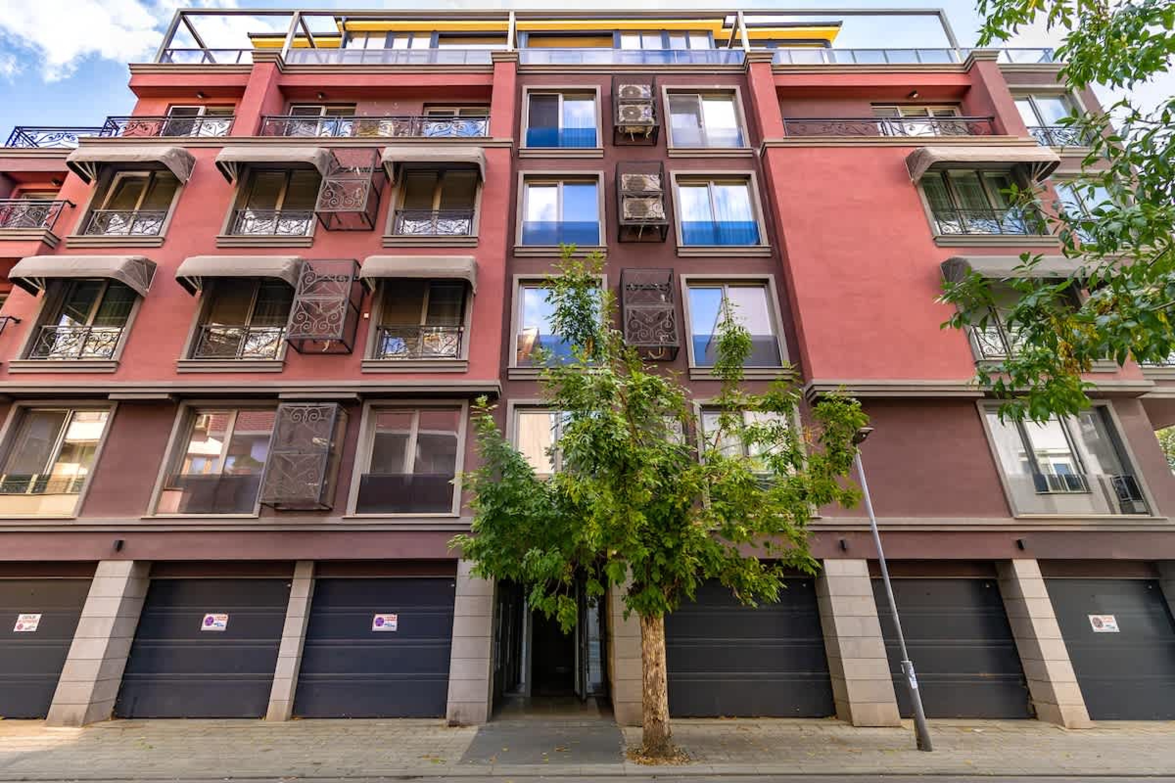 Scoutaround White Logo