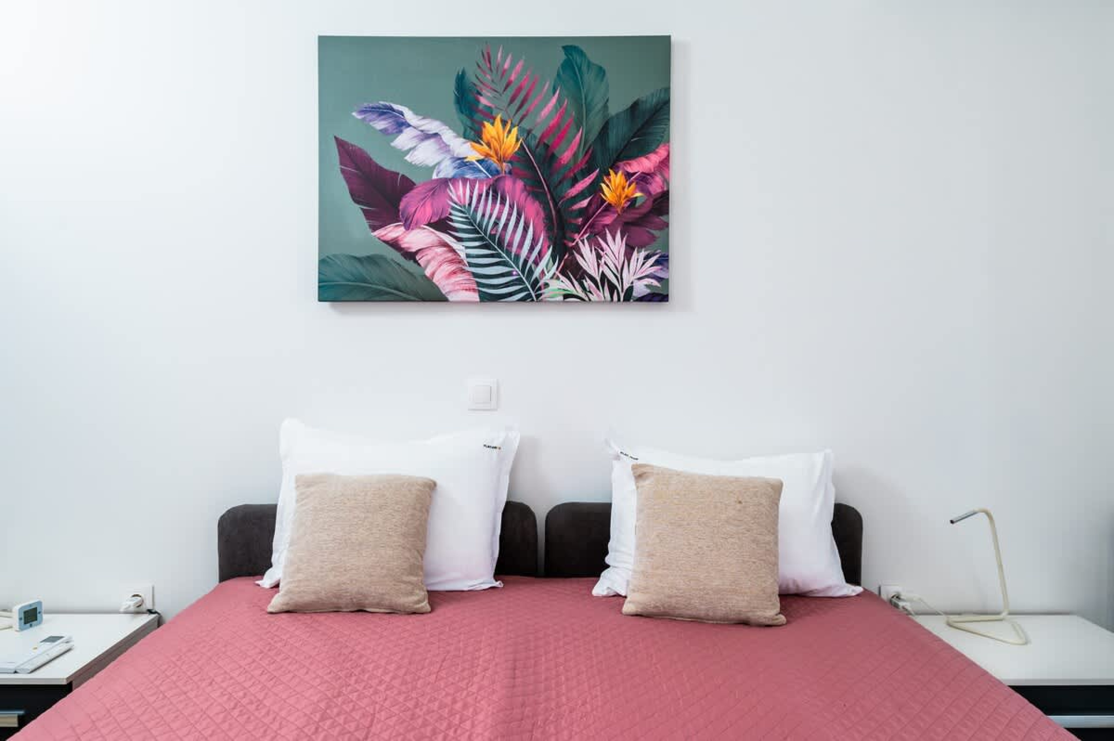 Scoutaround White Logo