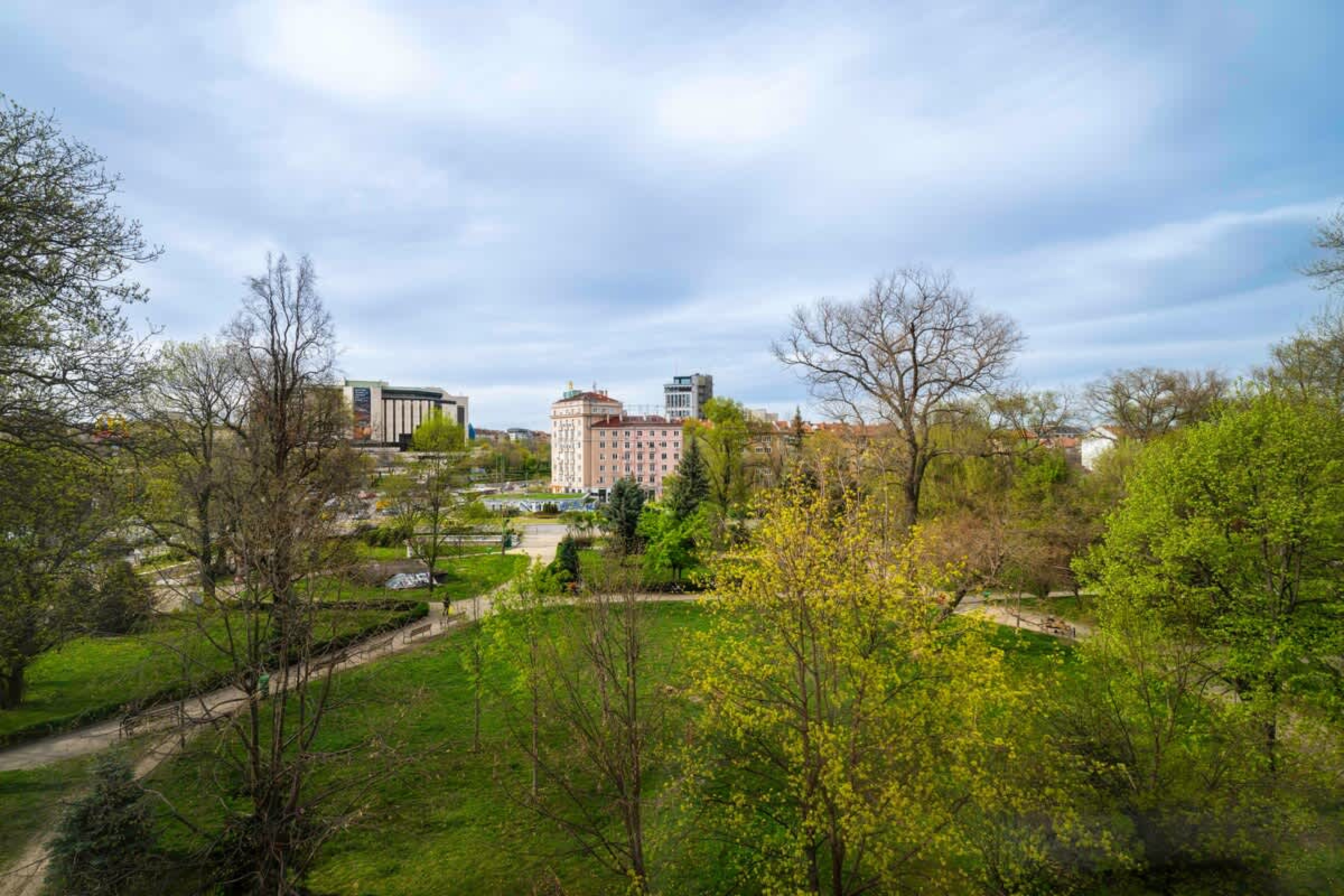 Scoutaround White Logo