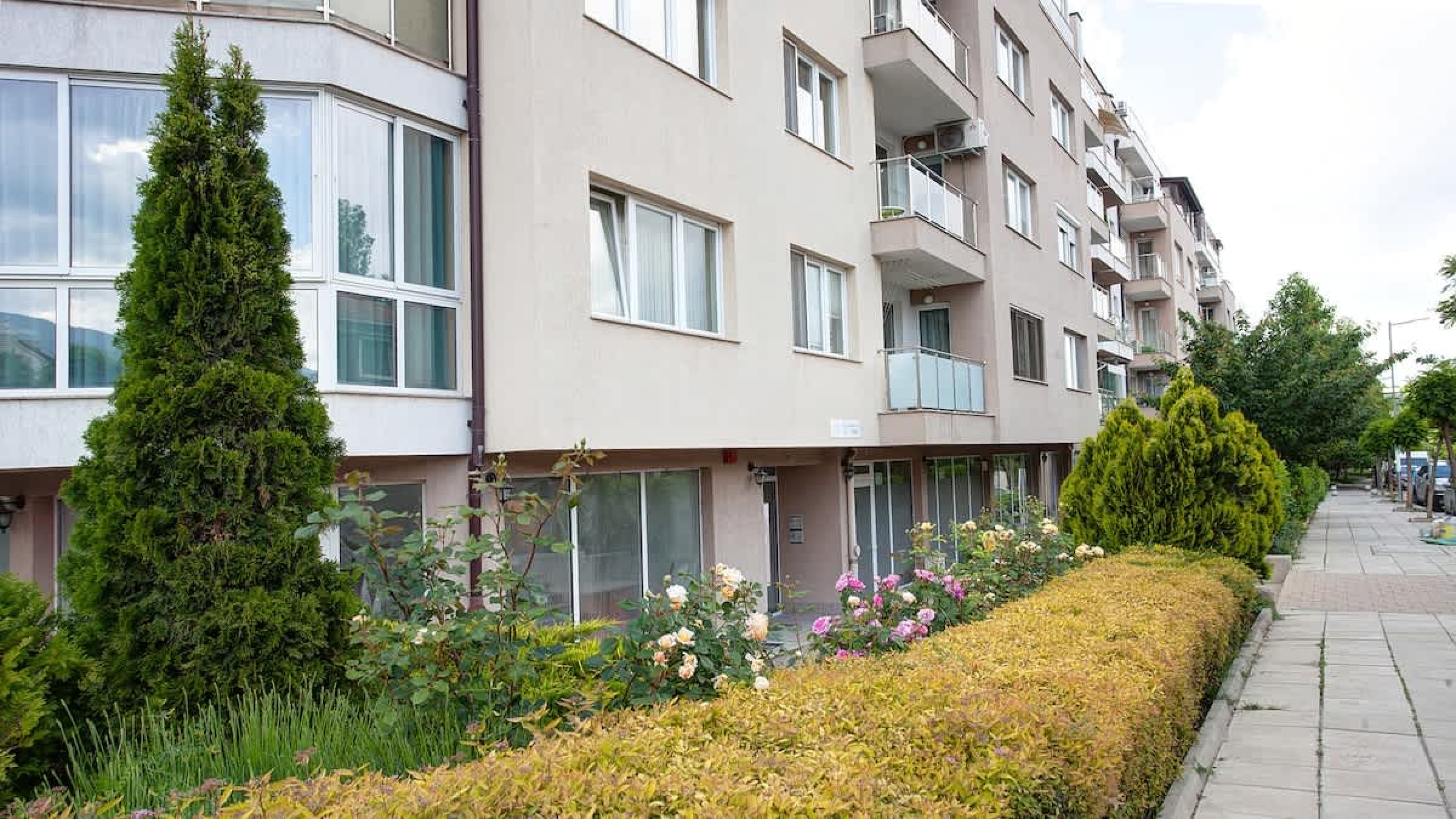 Scoutaround White Logo