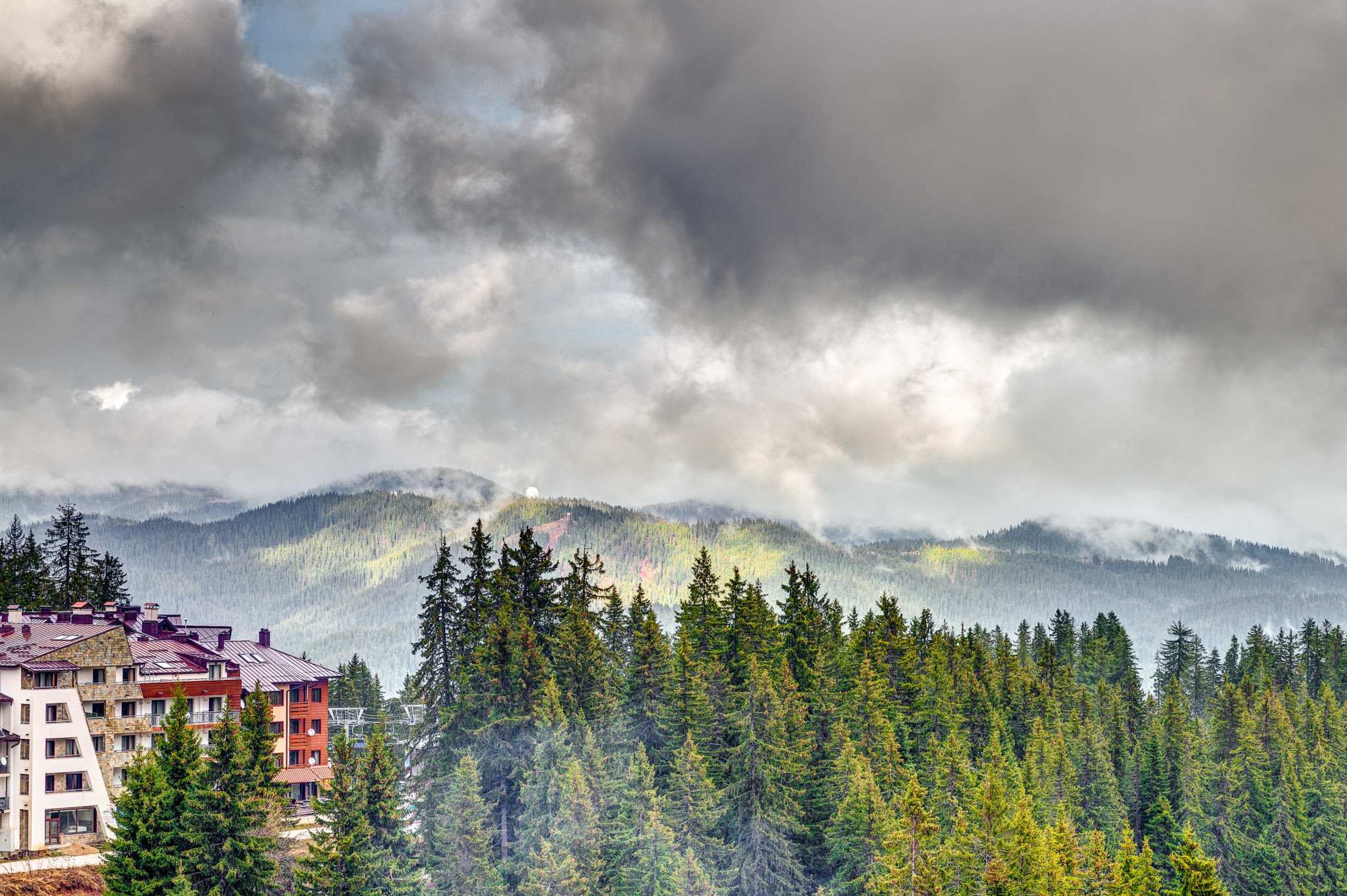 Scoutaround White Logo