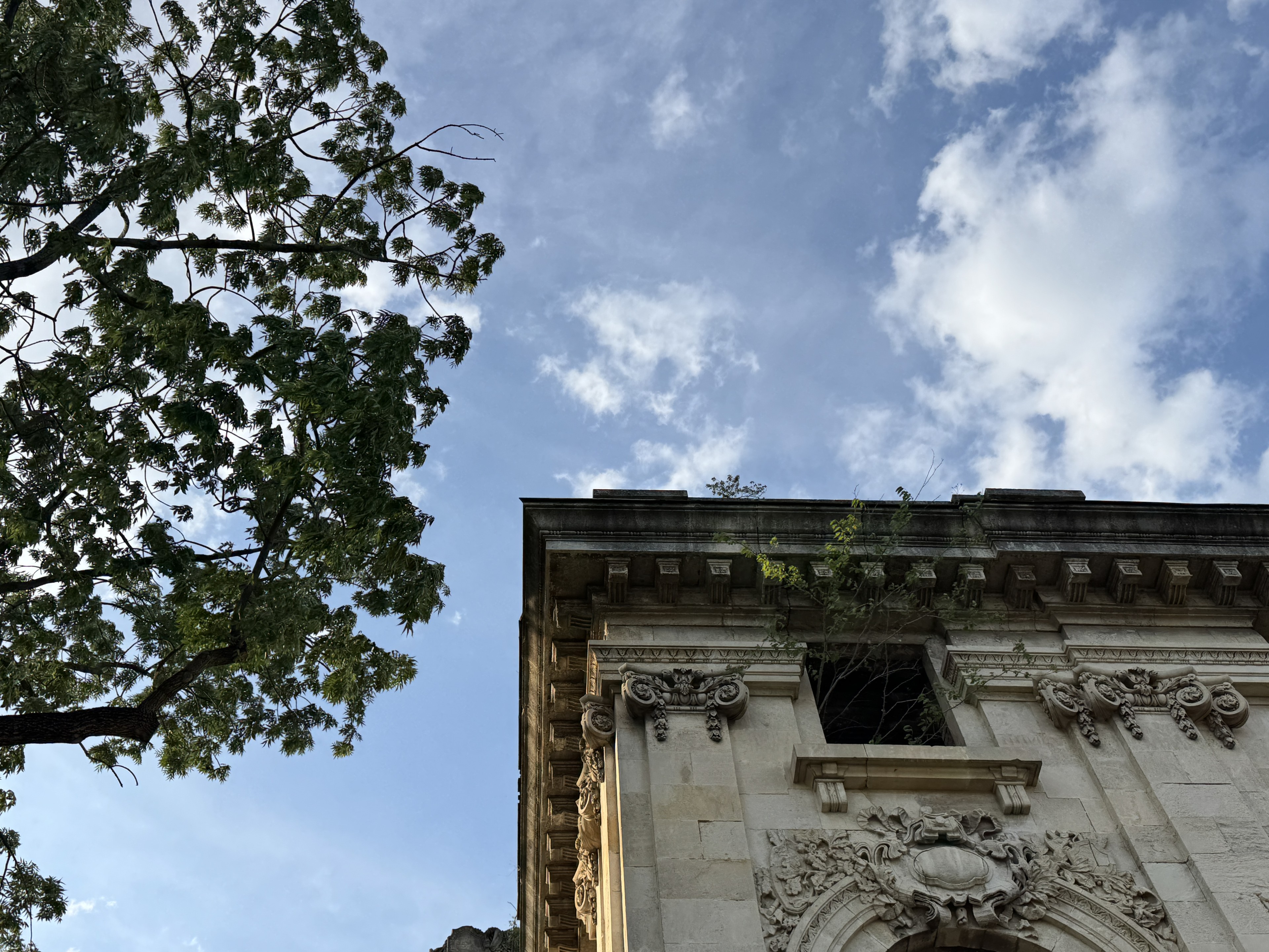 Scoutaround White Logo