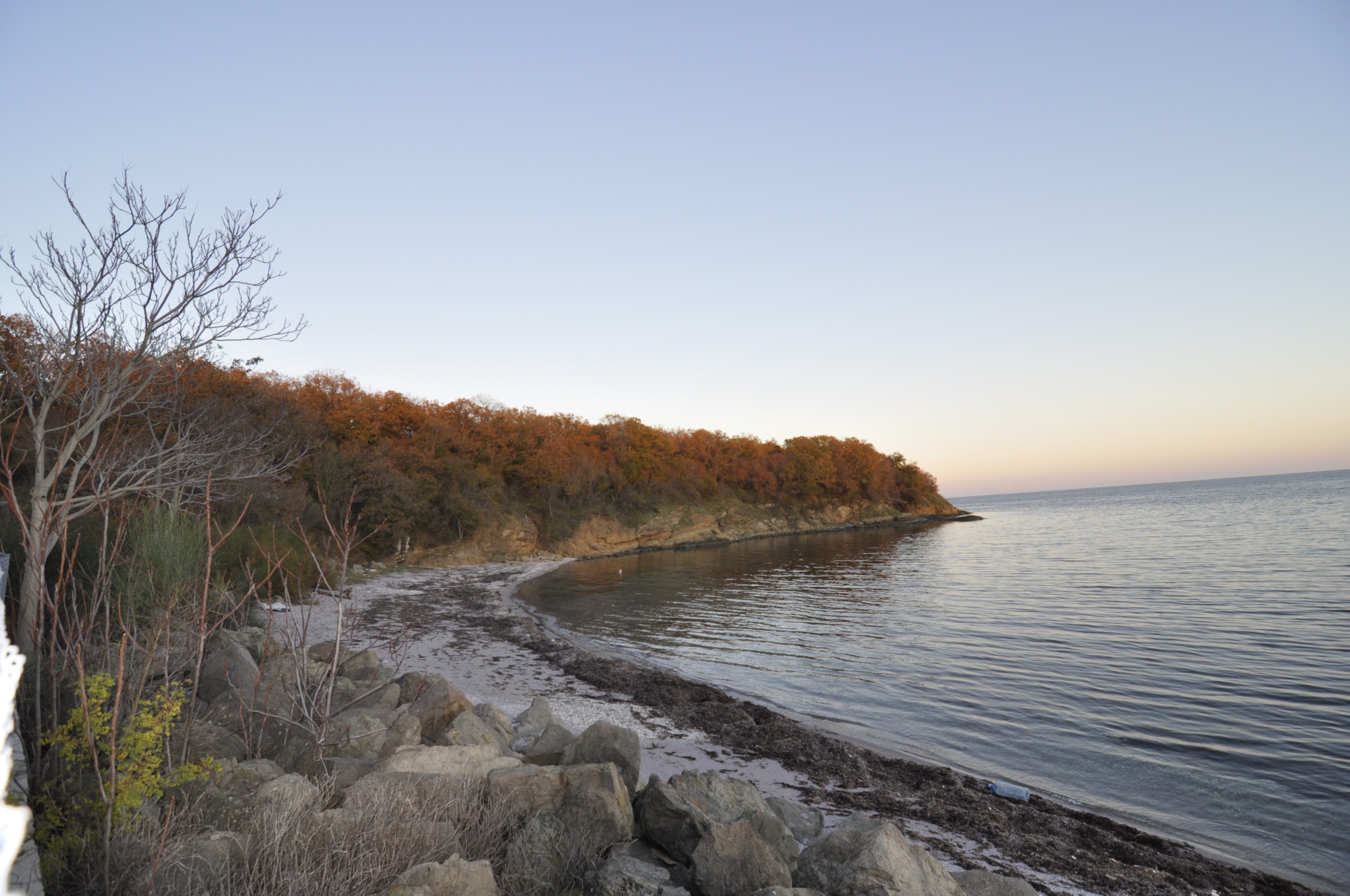 Scoutaround White Logo