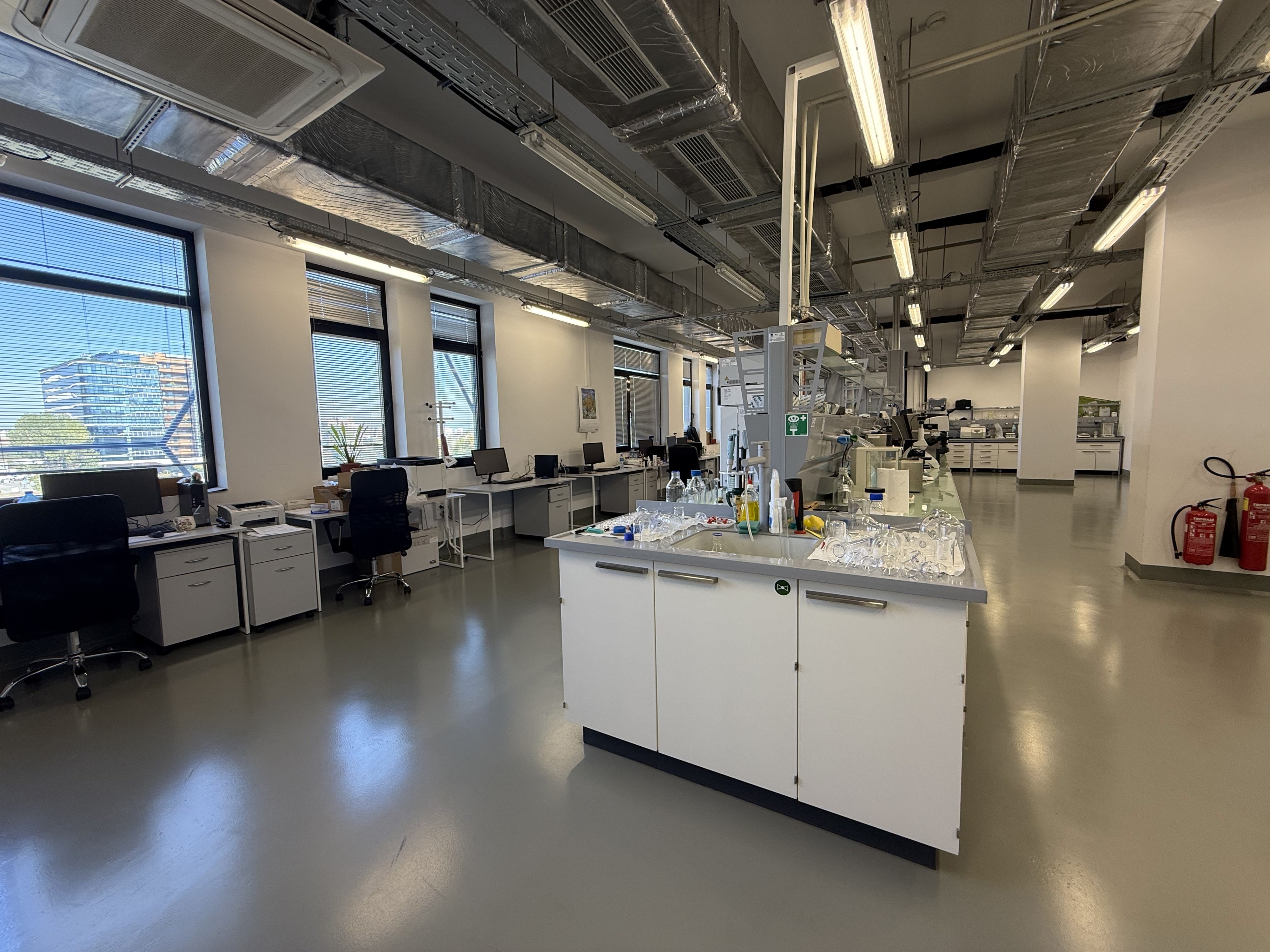 Scoutaround White Logo