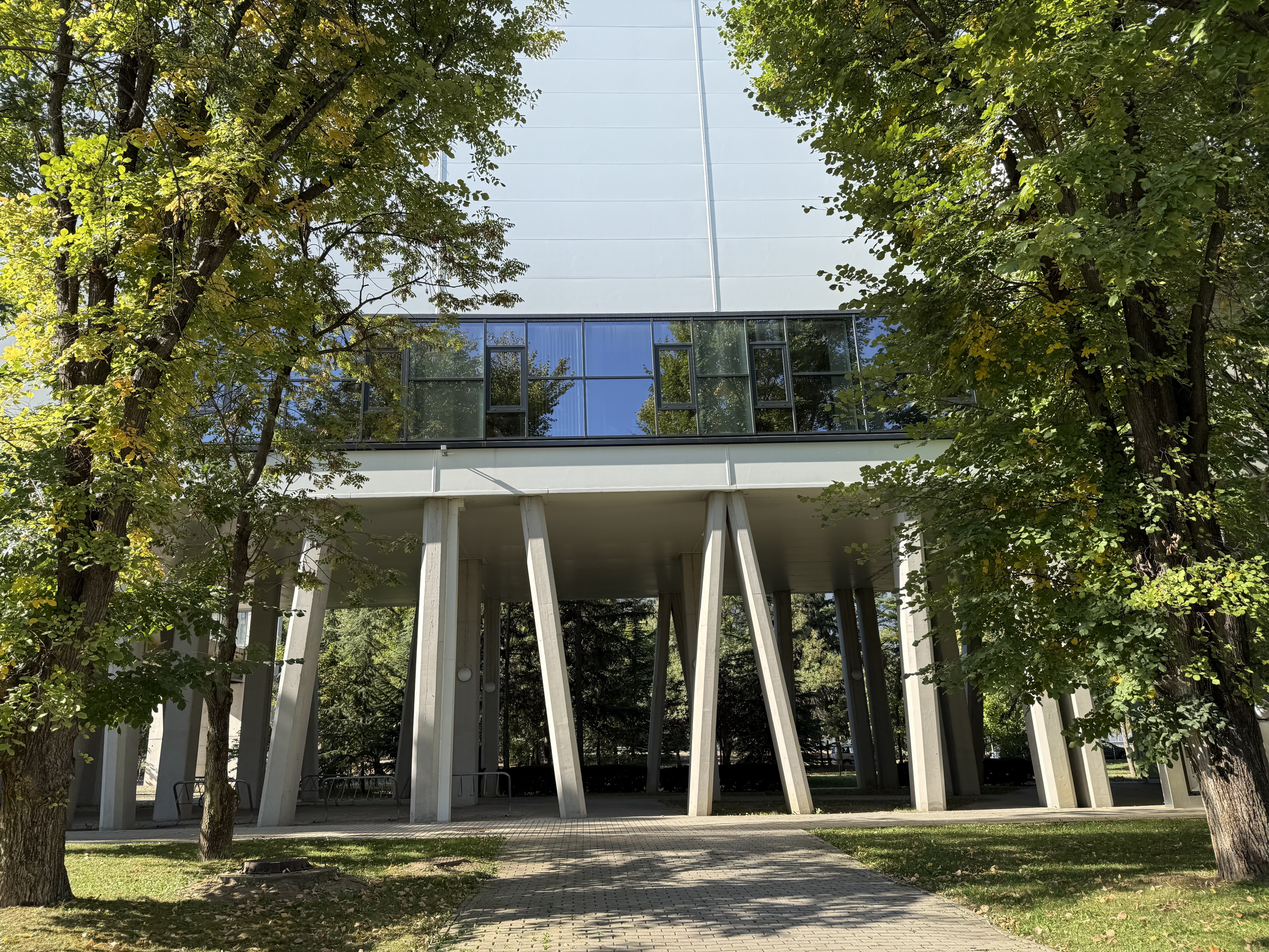 Scoutaround White Logo