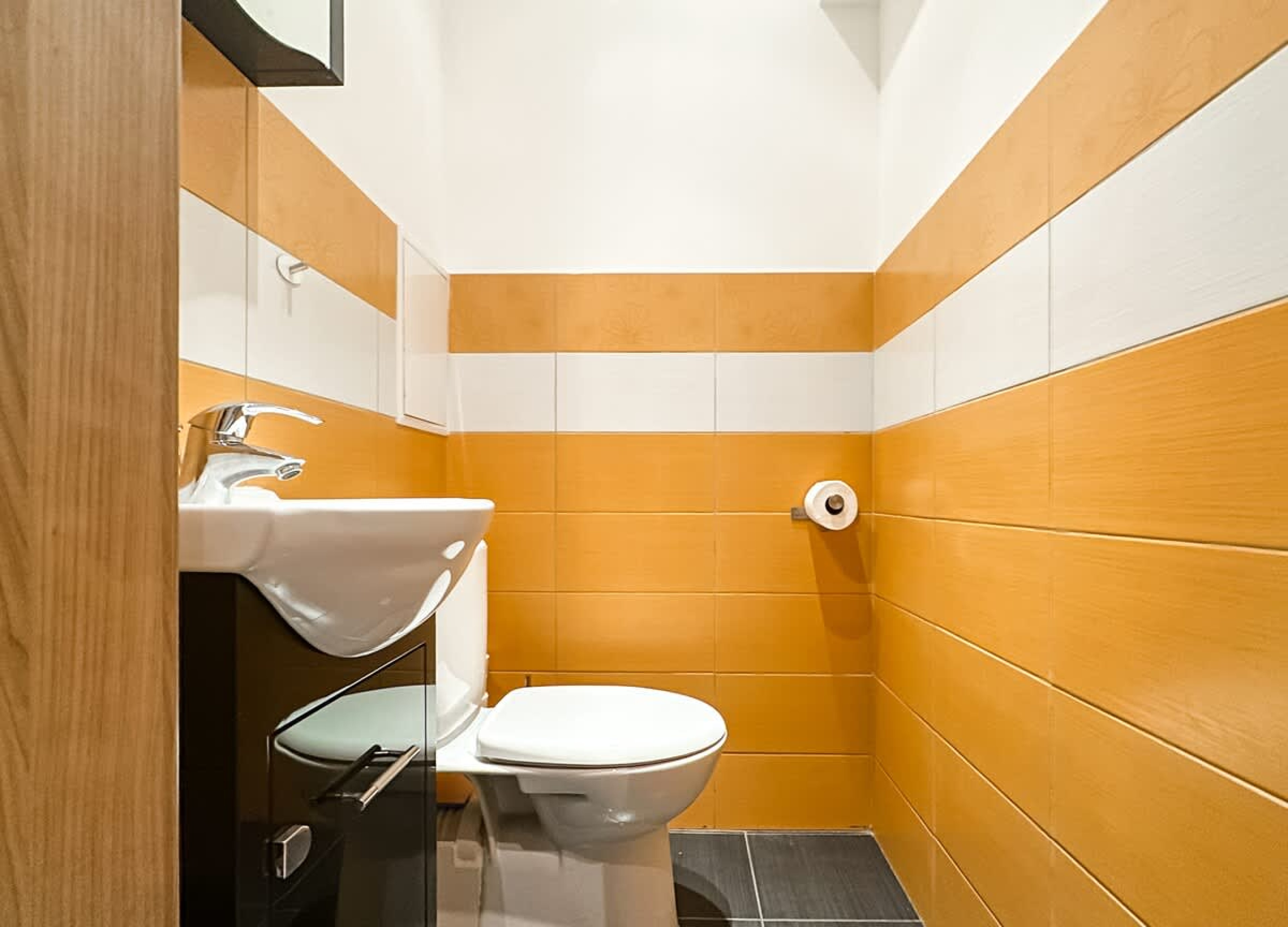 Scoutaround White Logo