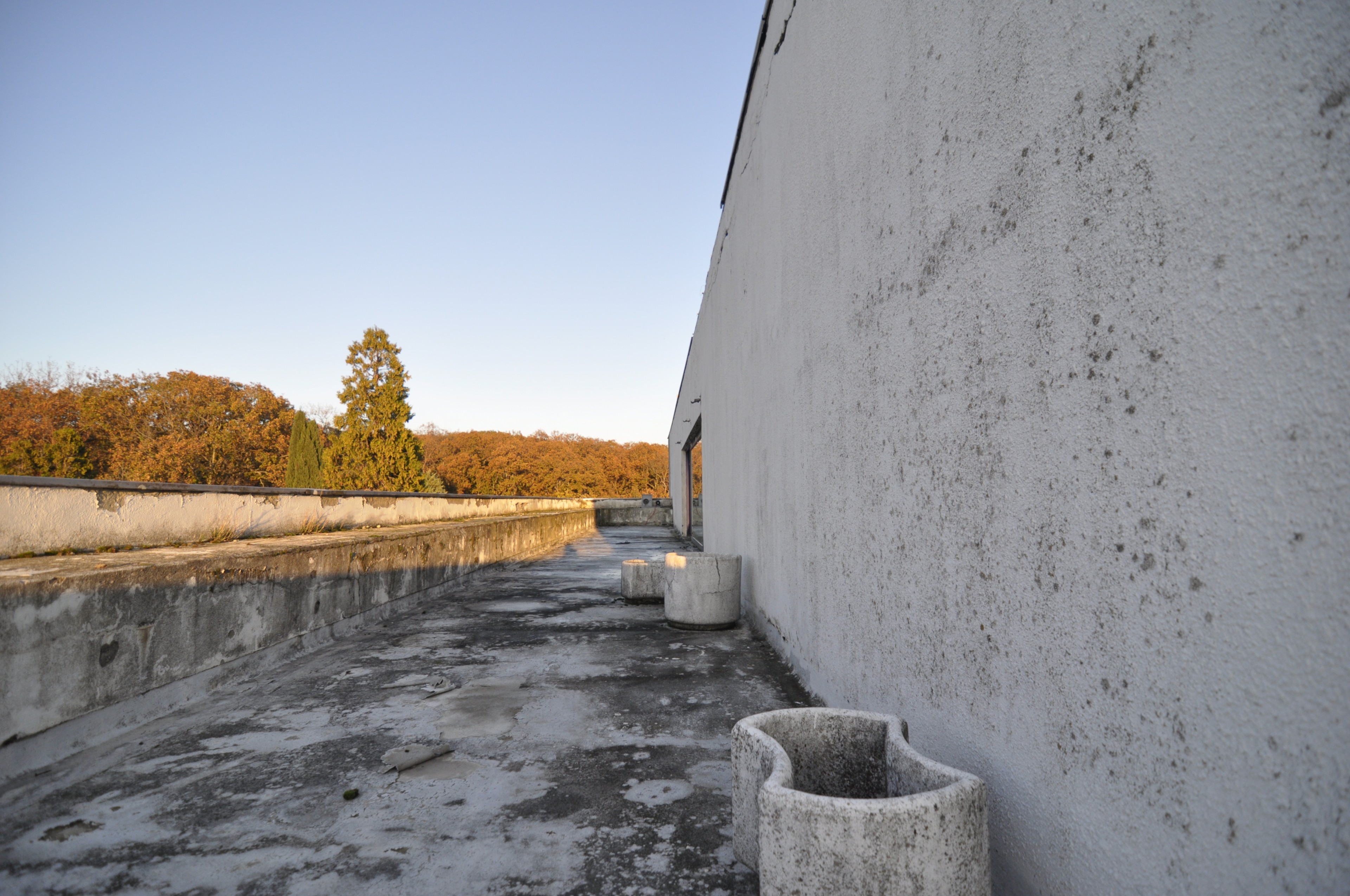 Scoutaround White Logo