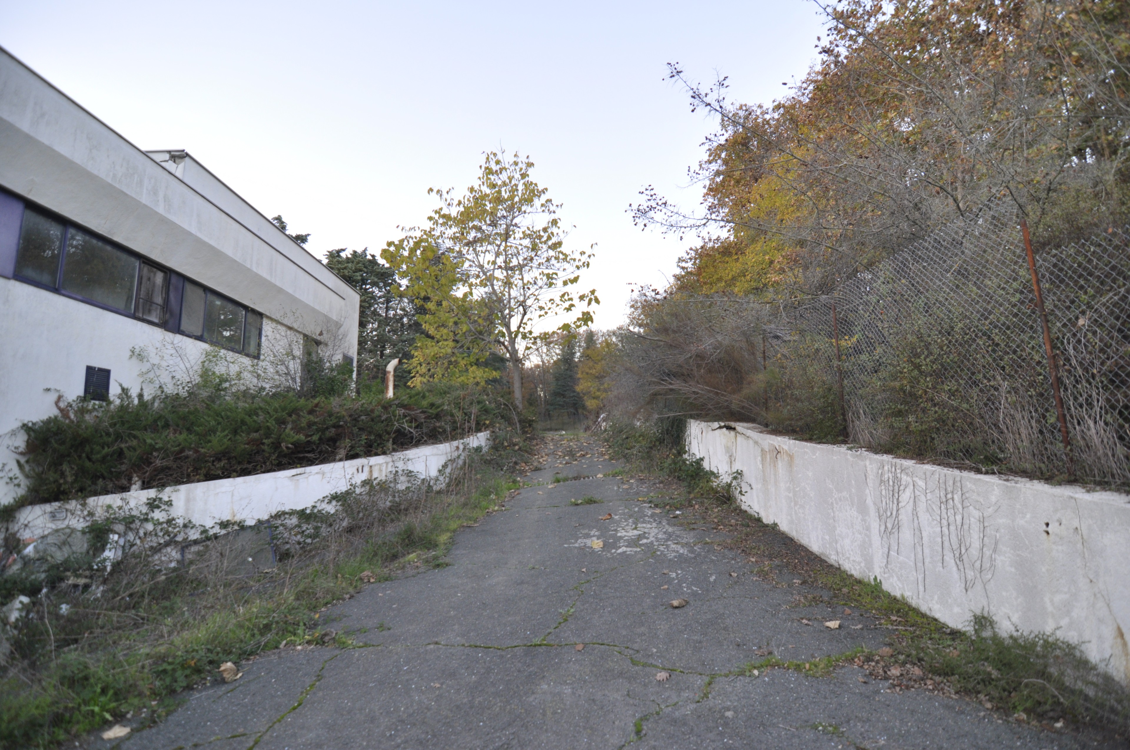 Scoutaround White Logo