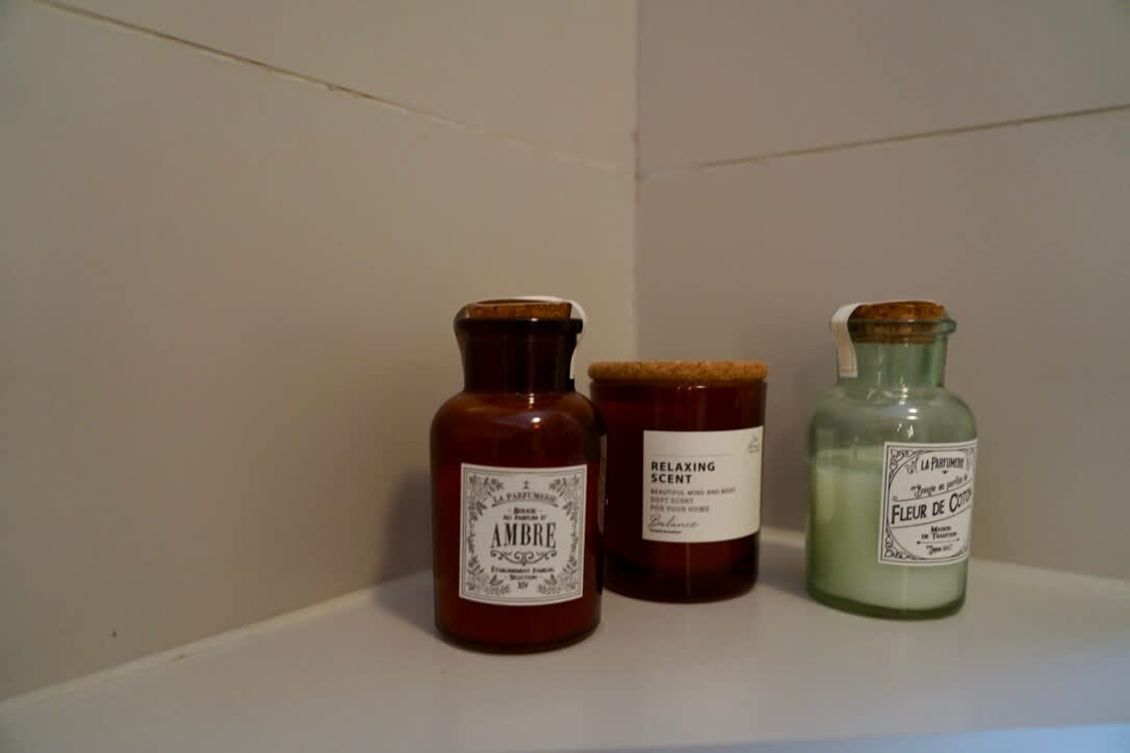 Scoutaround White Logo