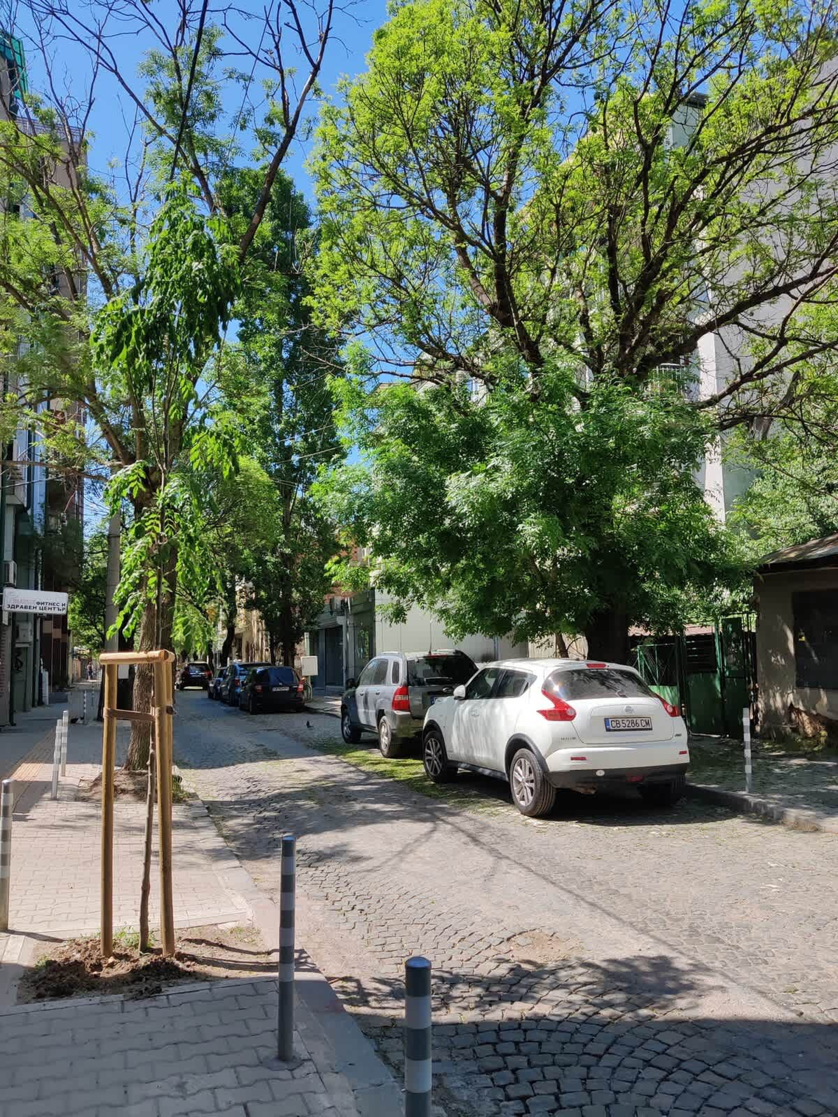 Scoutaround White Logo