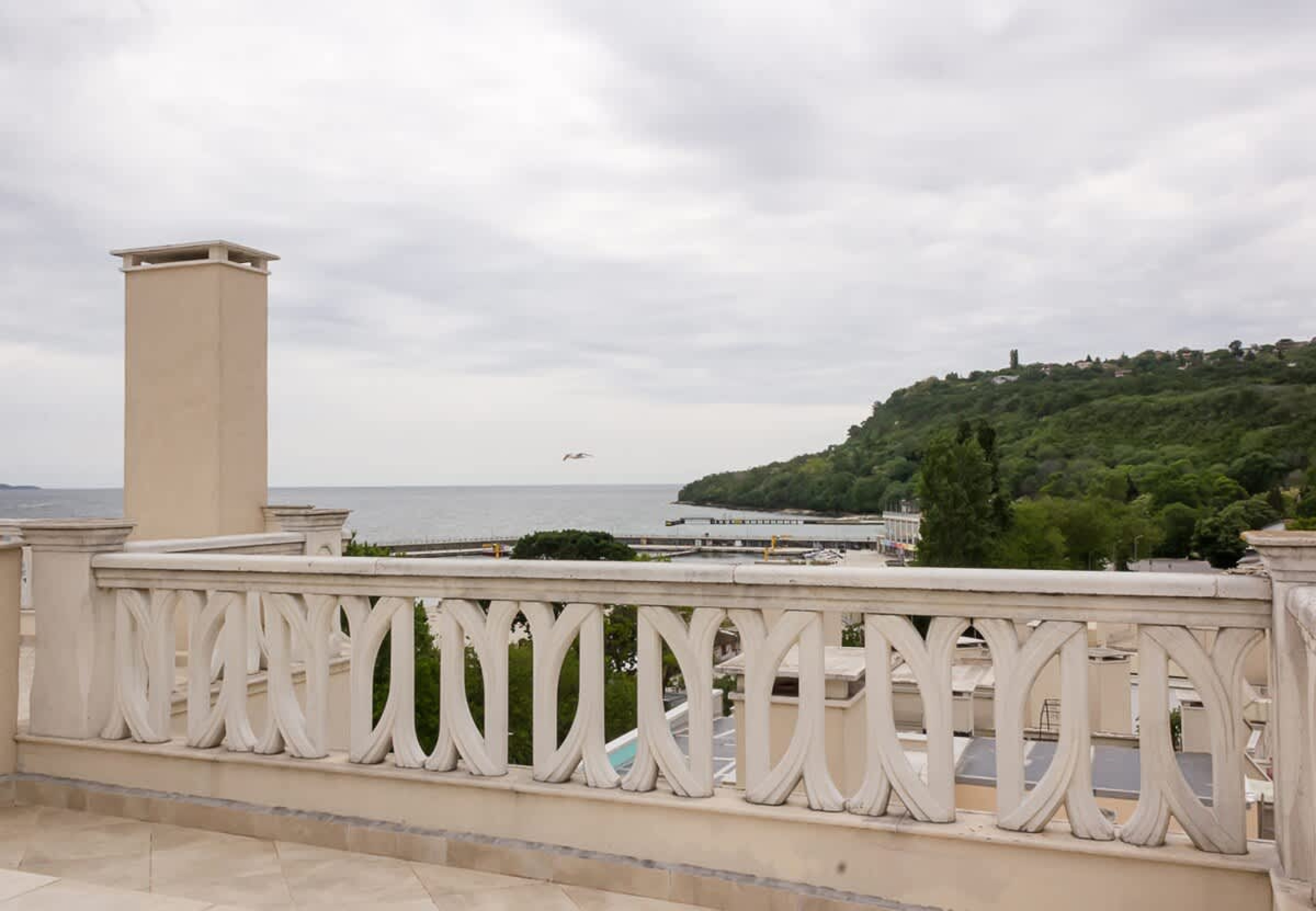 Scoutaround White Logo