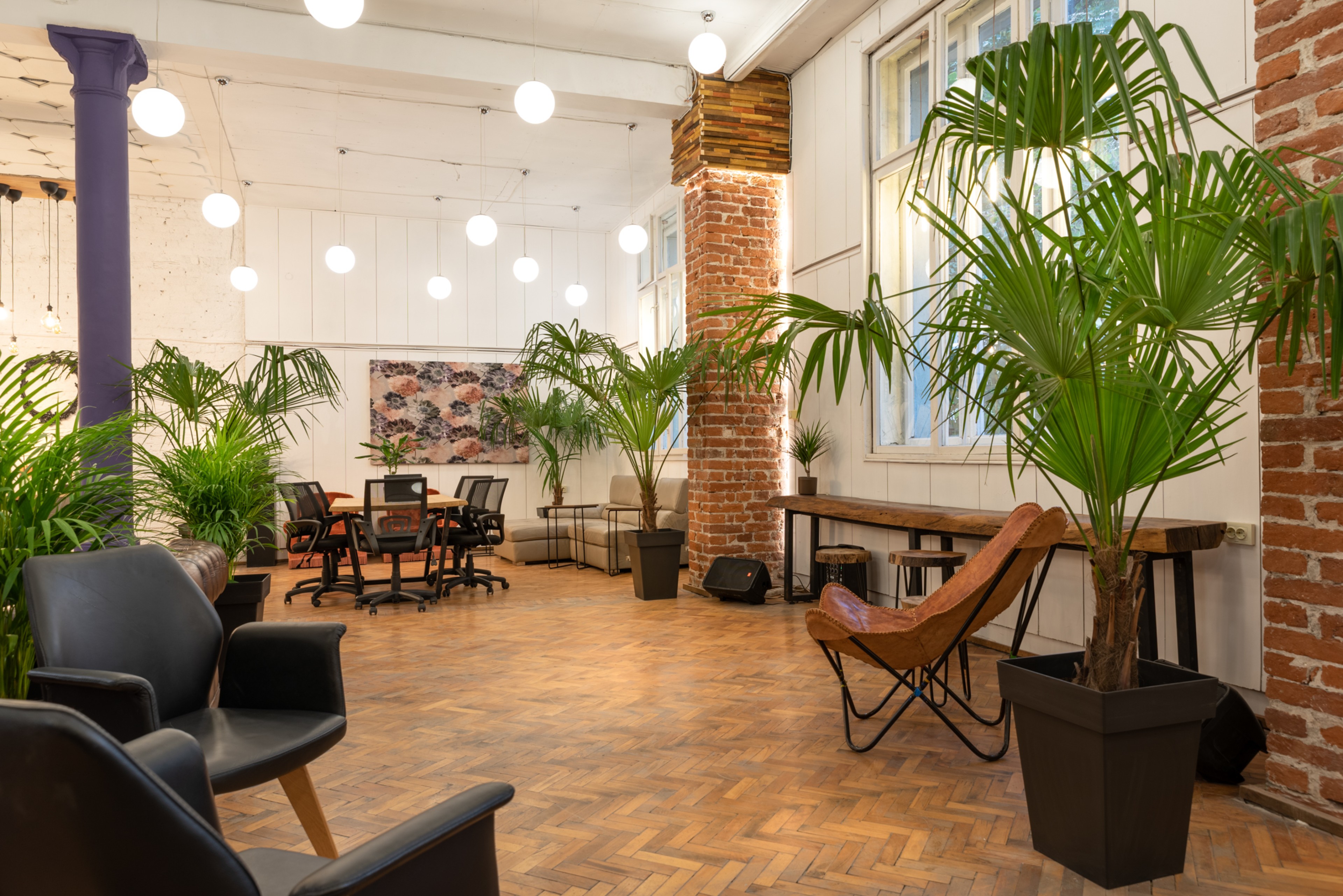 Scoutaround White Logo