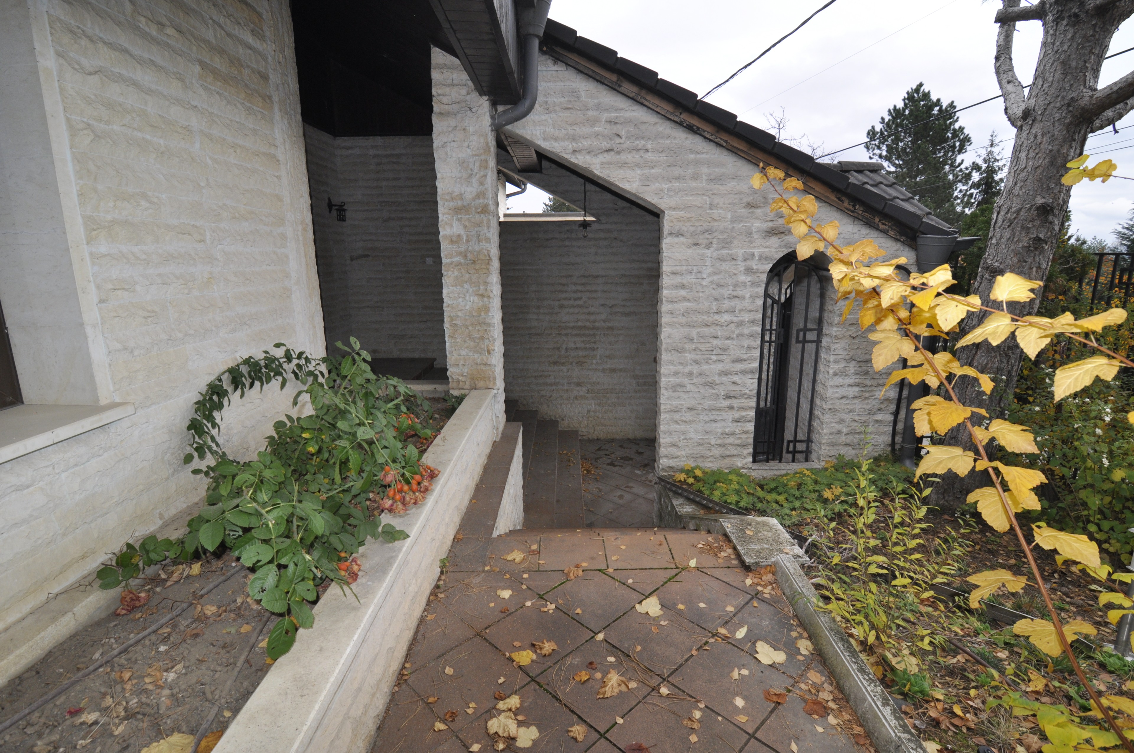 Scoutaround White Logo