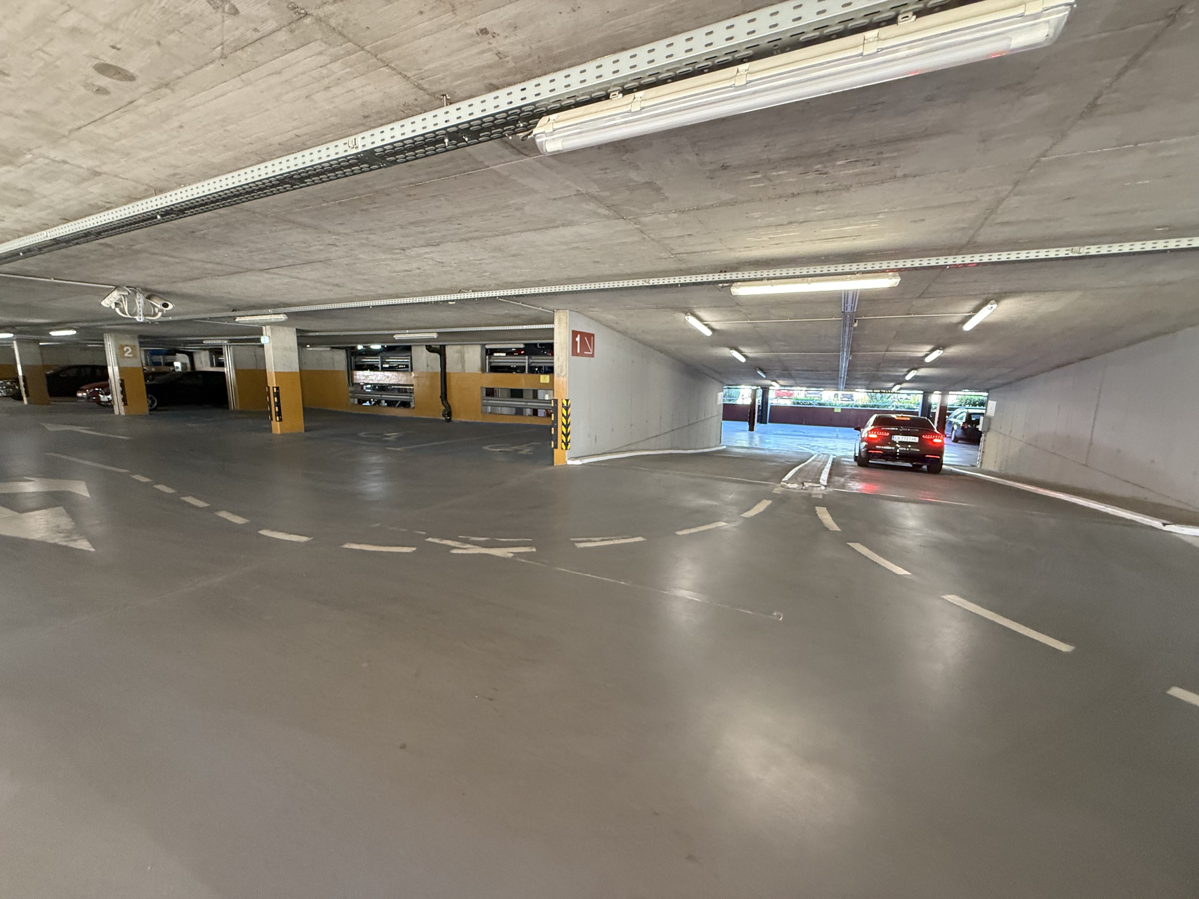 Scoutaround White Logo