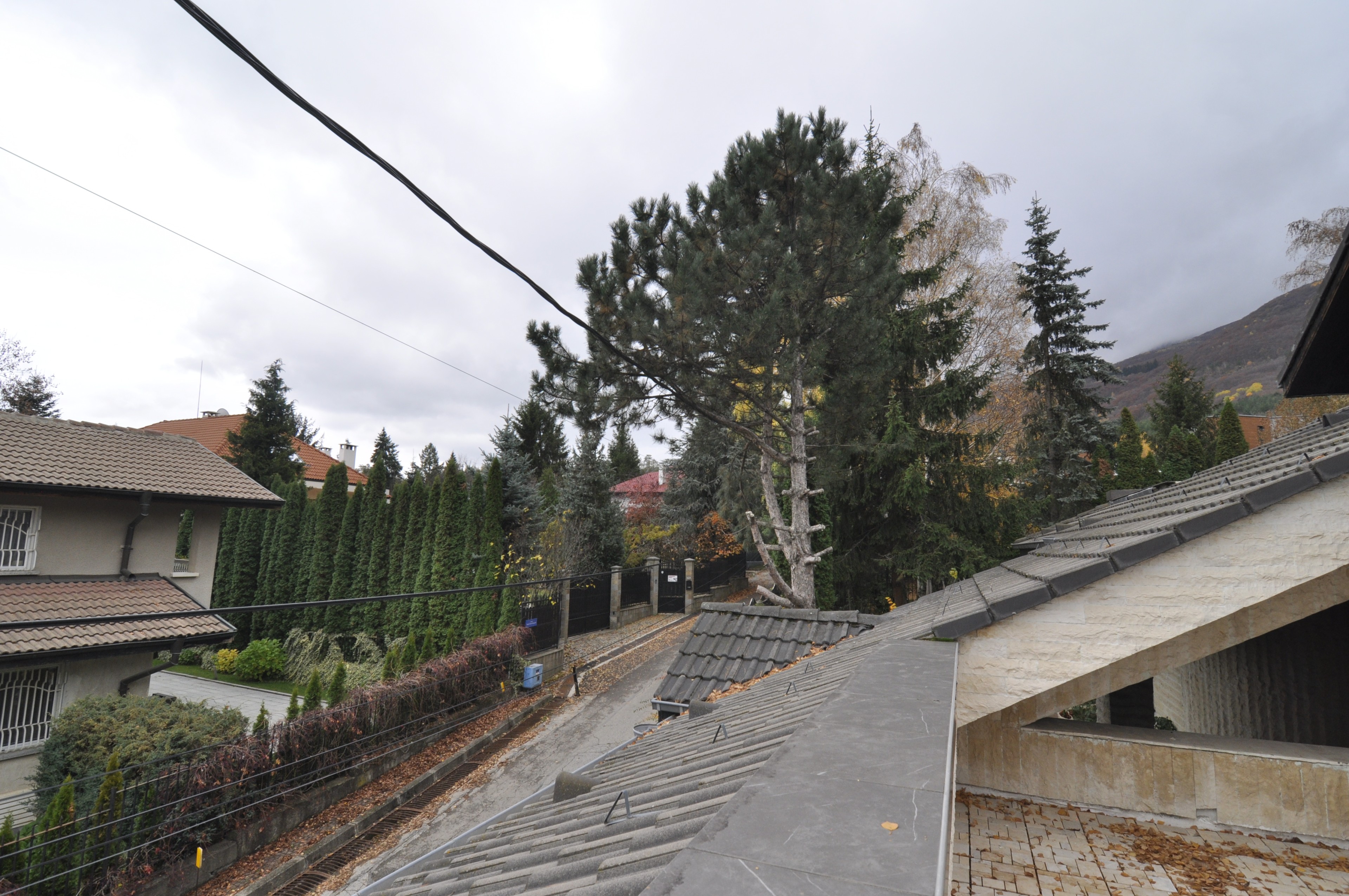 Scoutaround White Logo