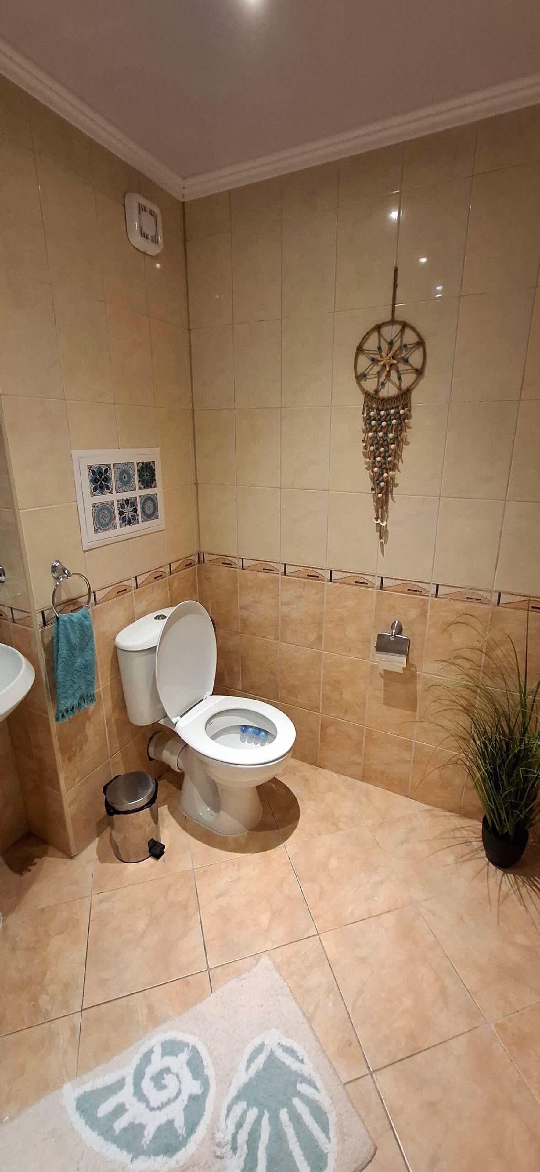 Scoutaround White Logo