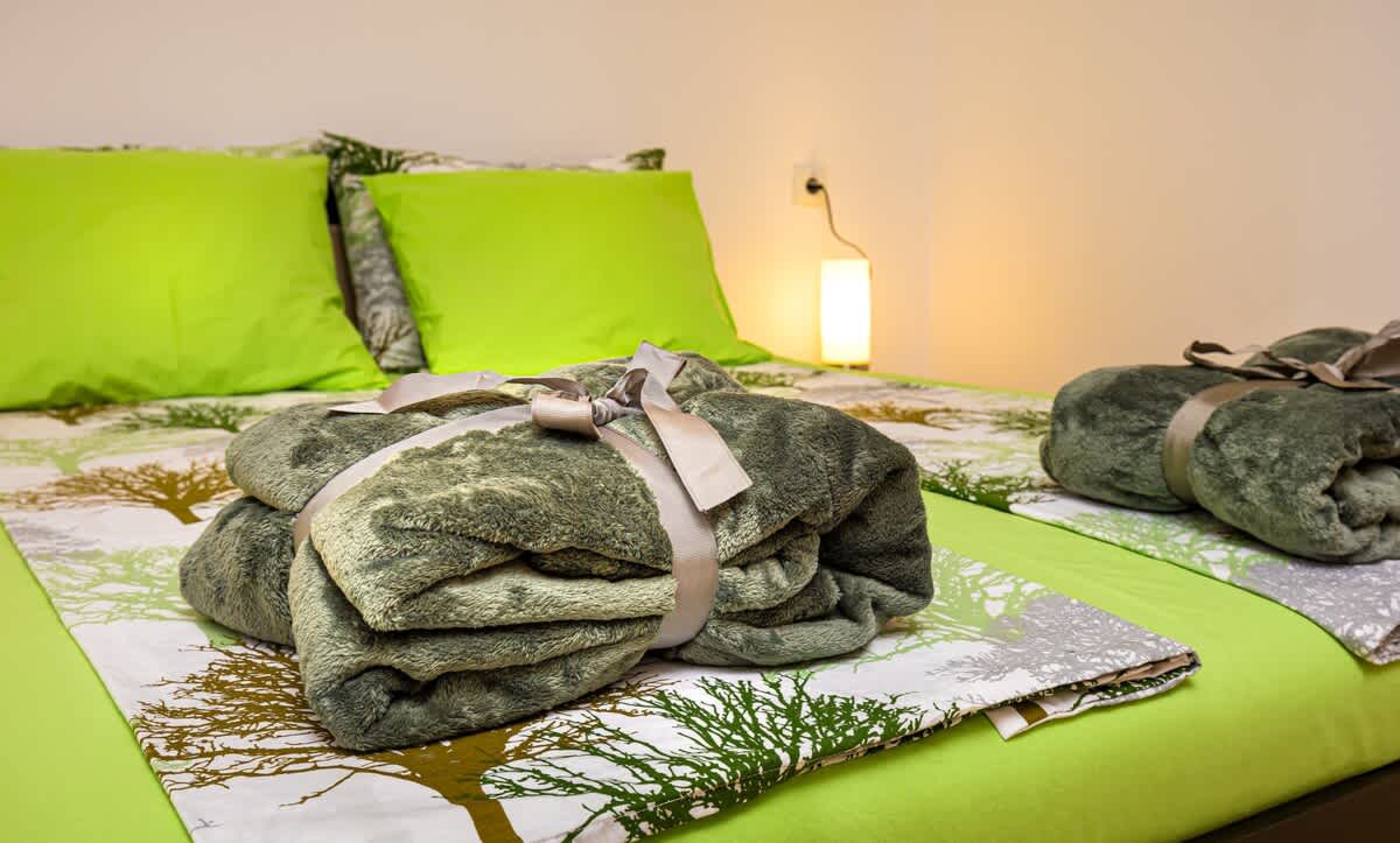 Scoutaround White Logo