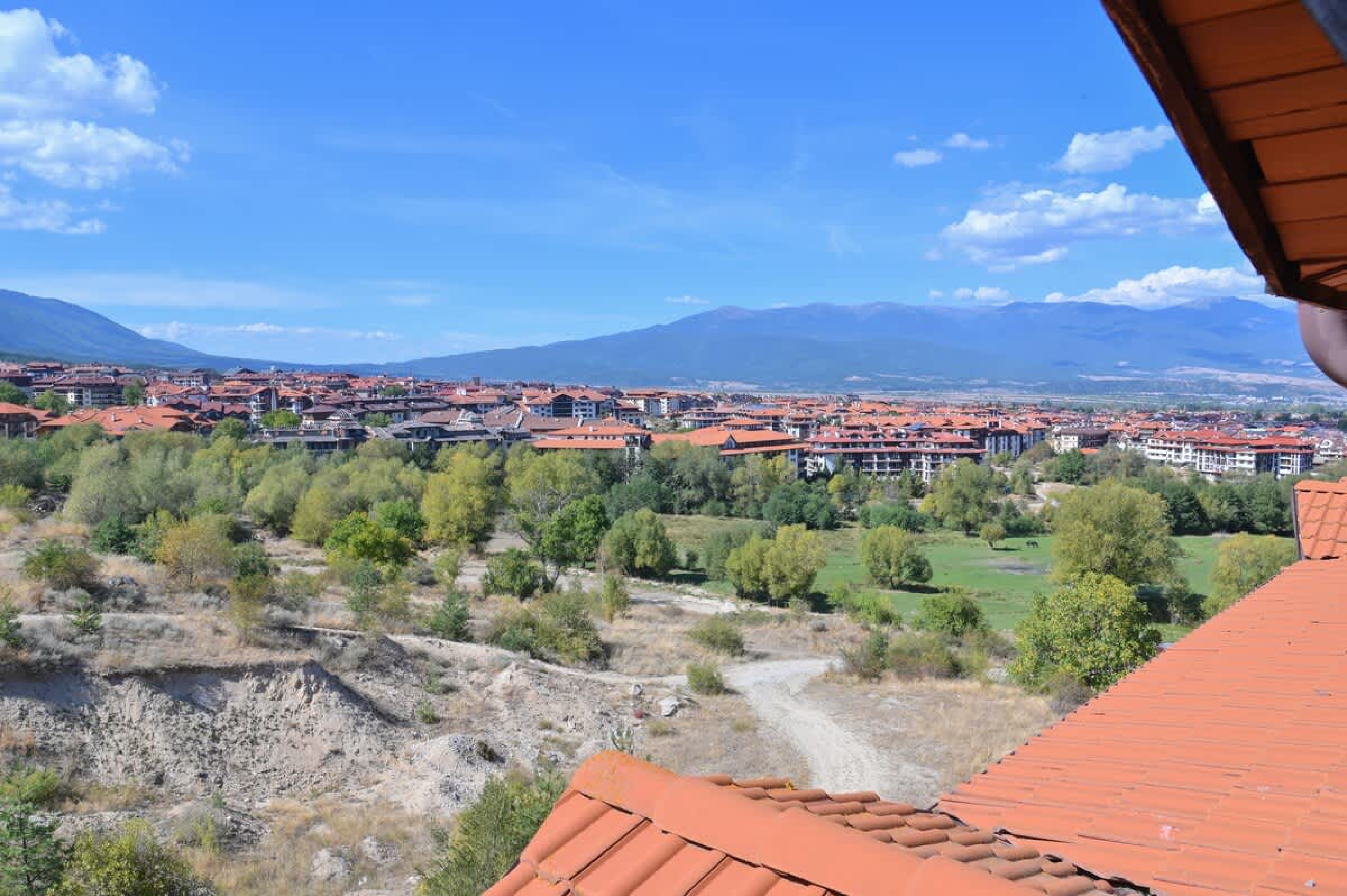 Scoutaround White Logo