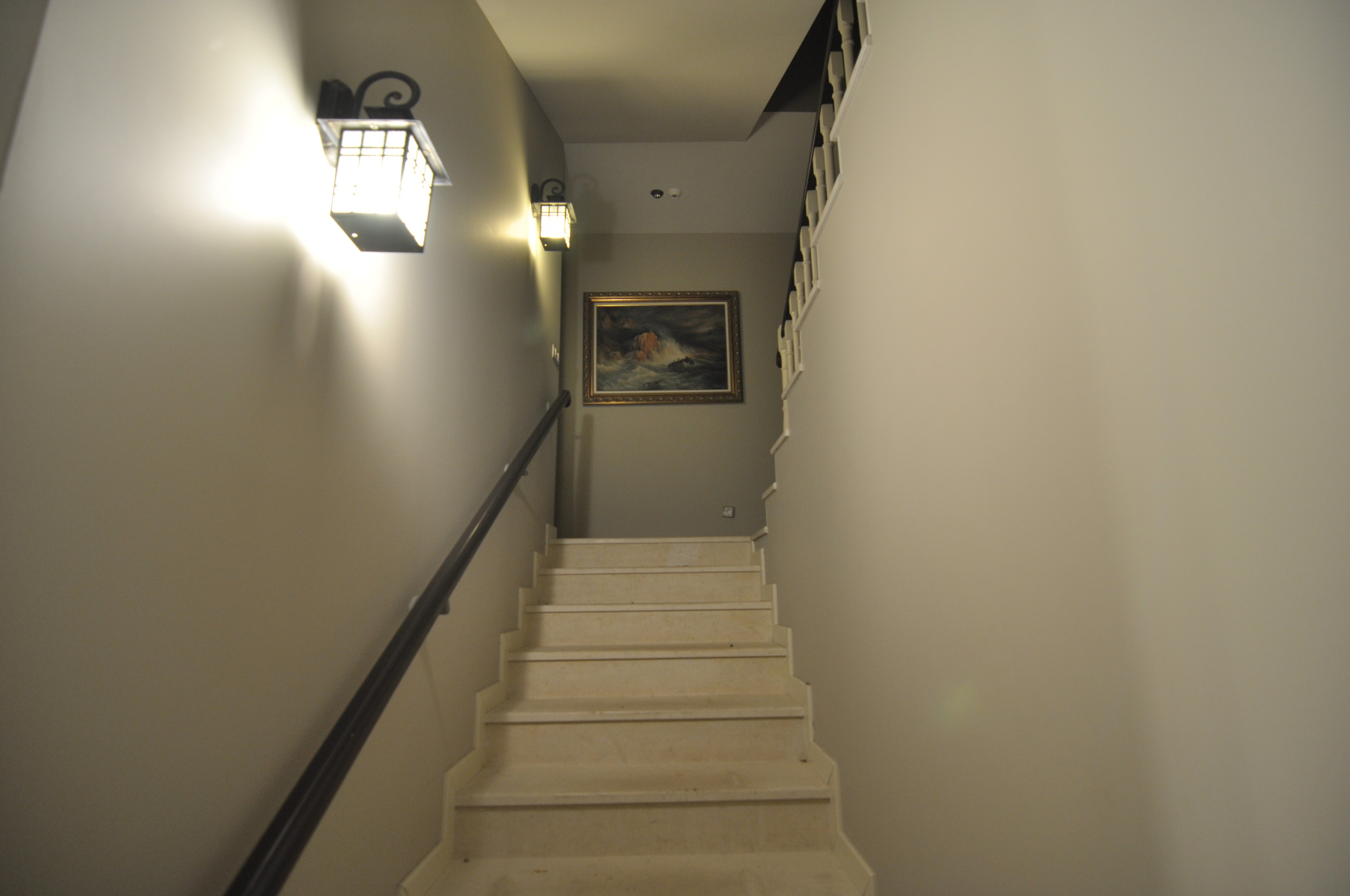 Scoutaround White Logo