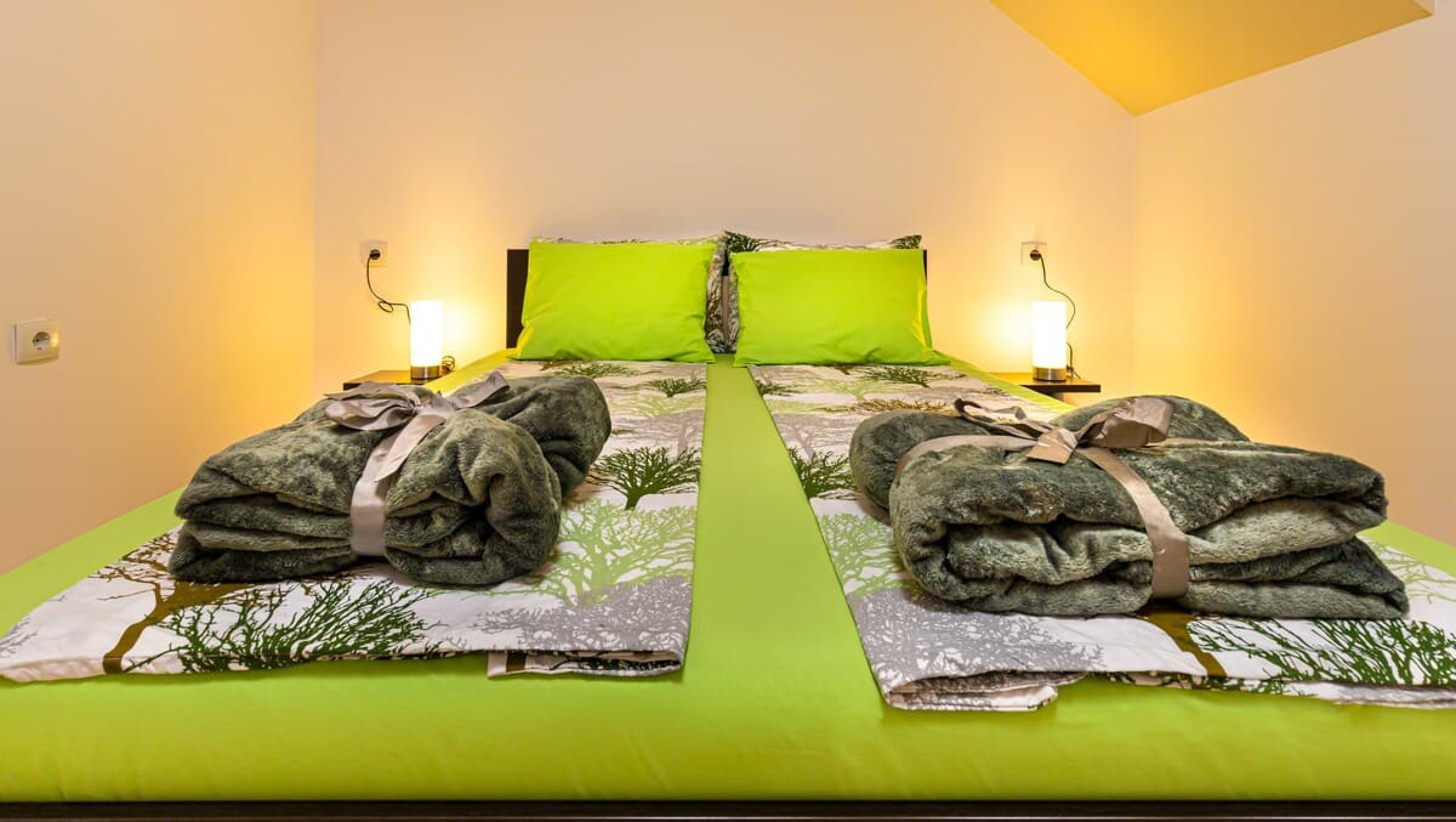 Scoutaround White Logo