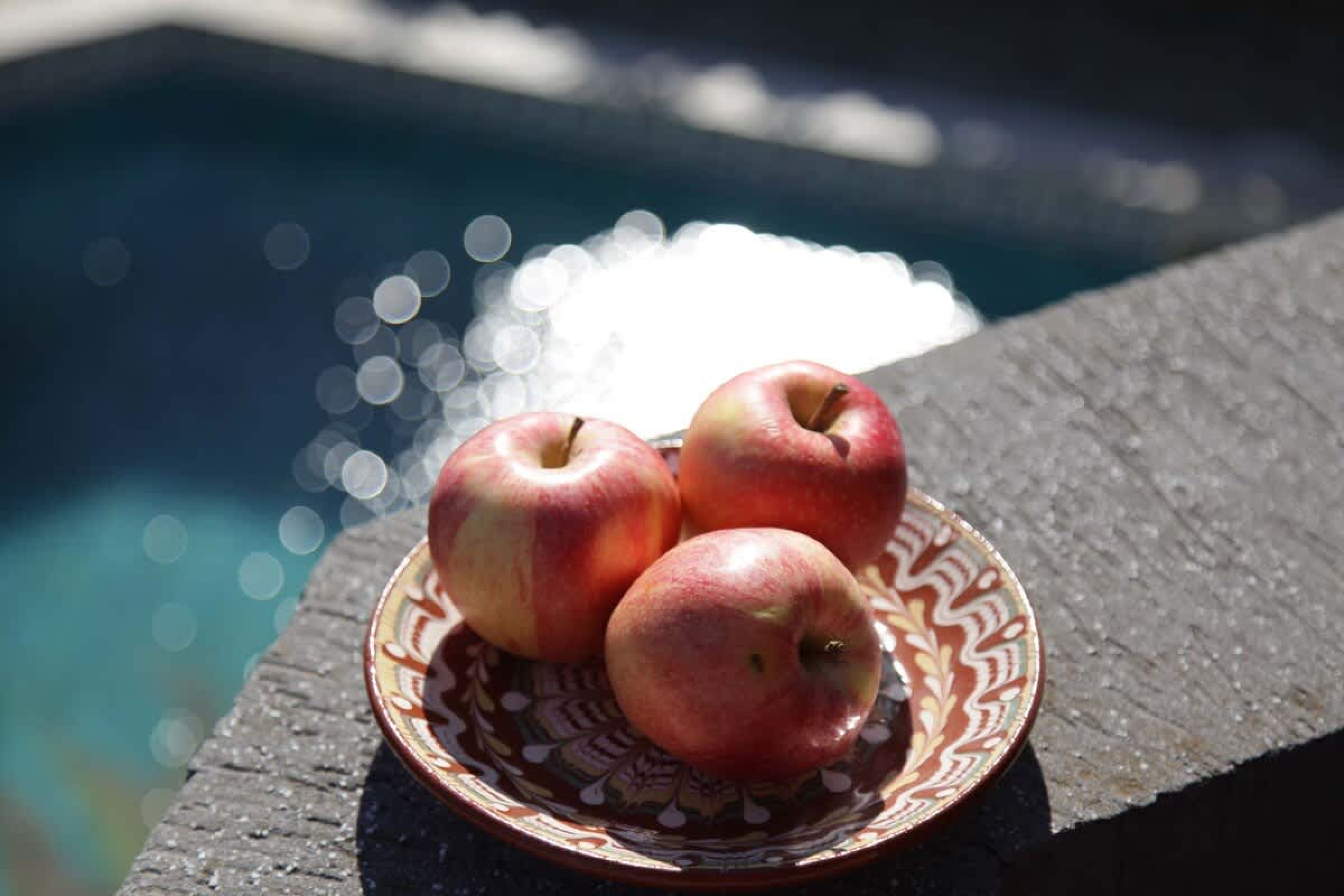 Scoutaround White Logo