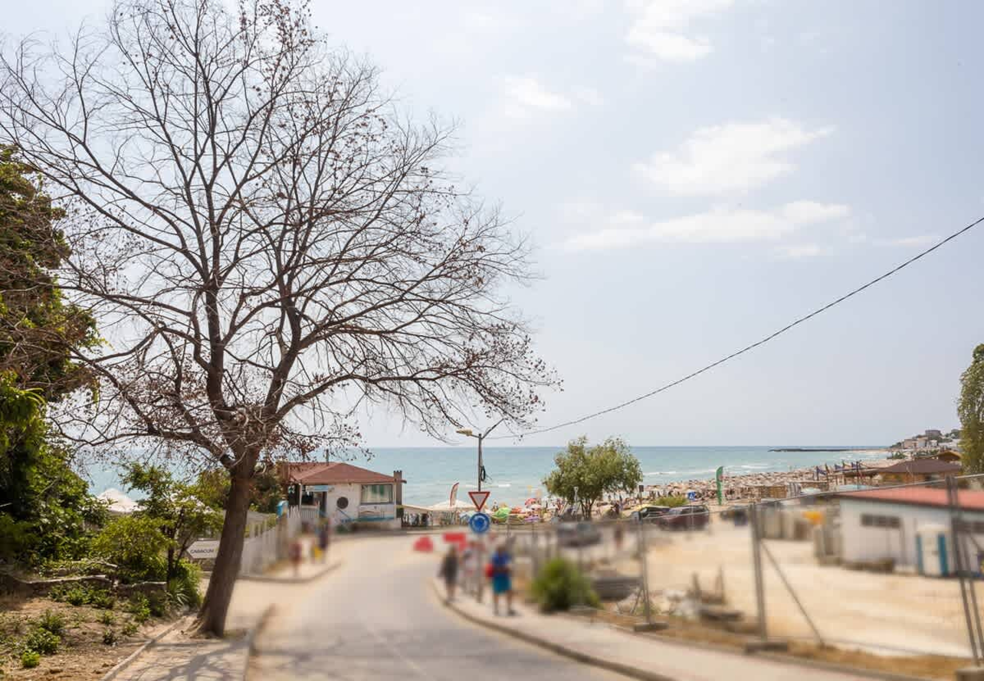 Scoutaround White Logo