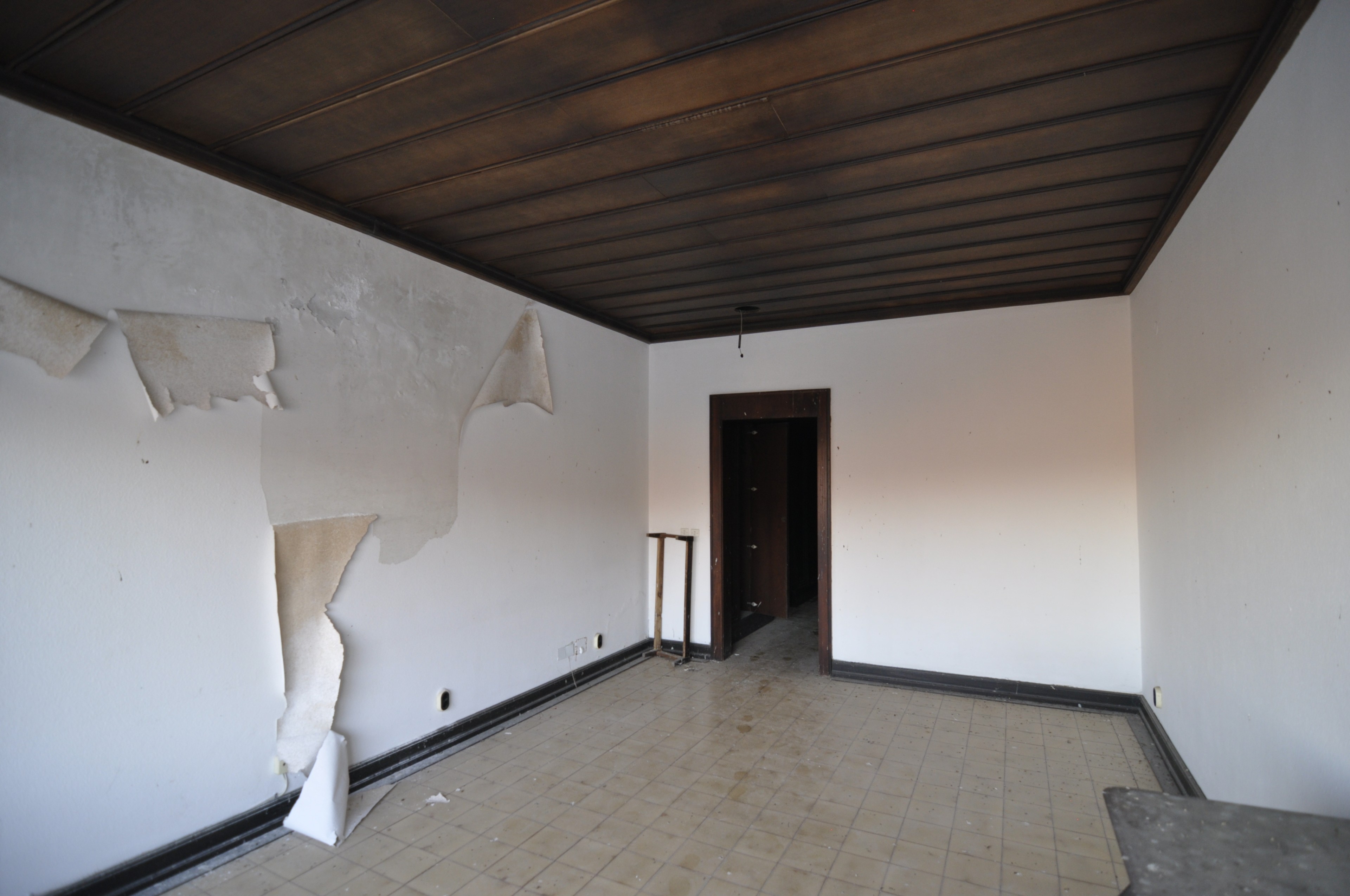 Scoutaround White Logo