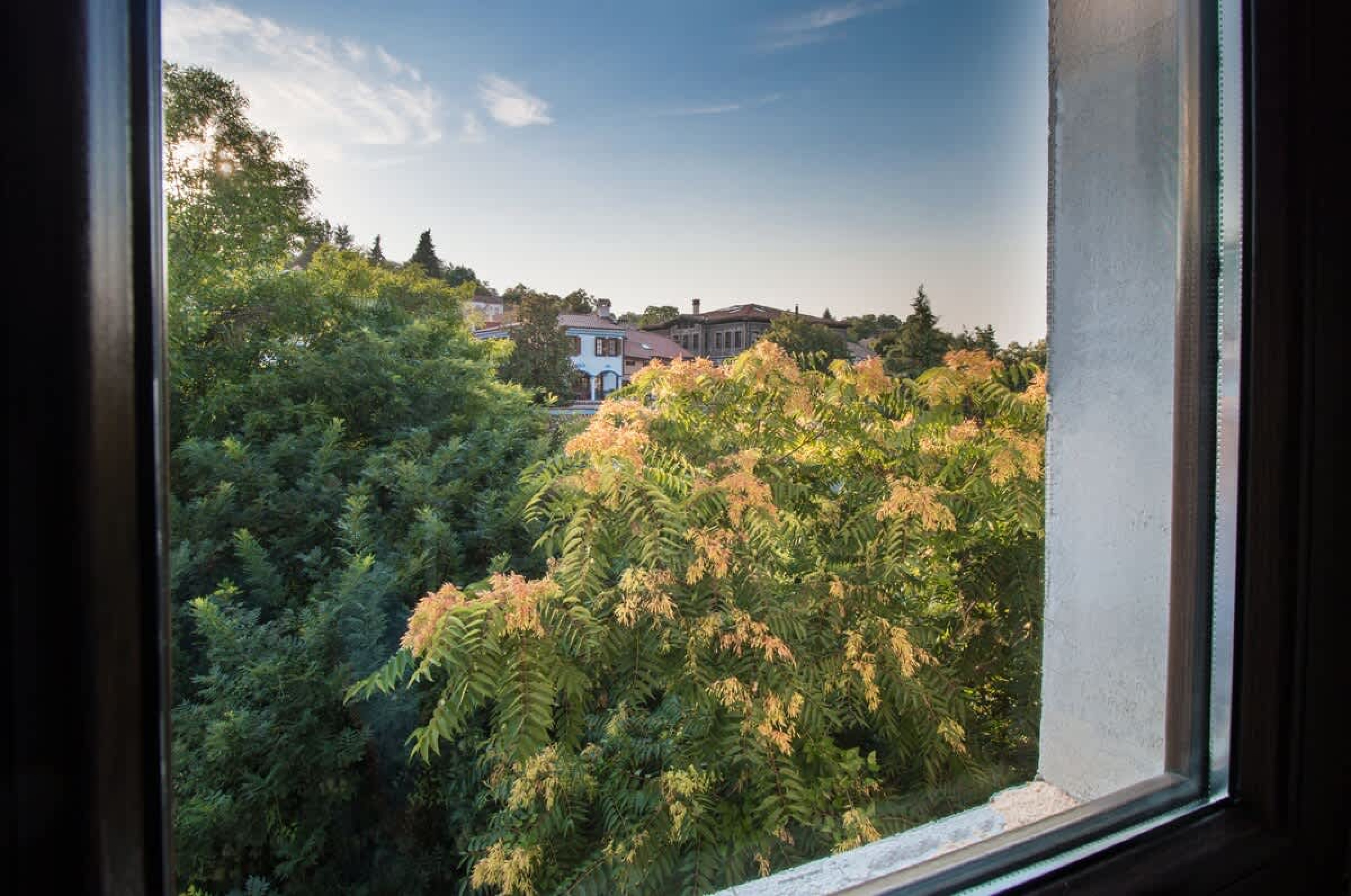 Scoutaround White Logo